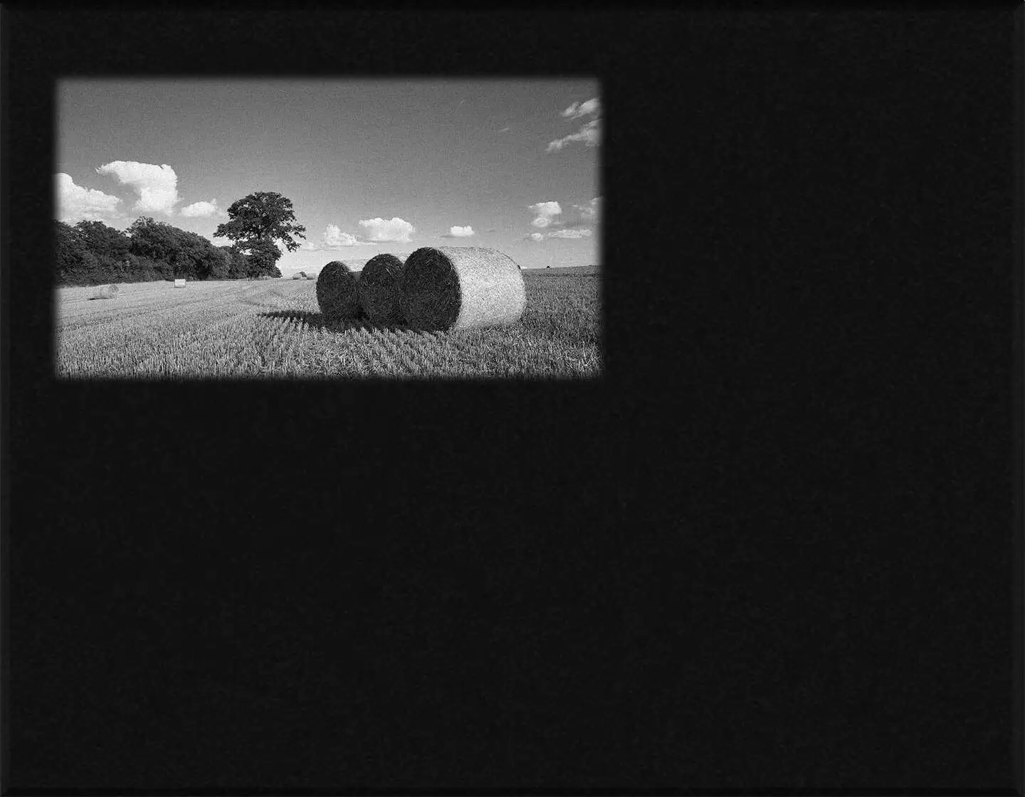 Lápida en láser campo L.619