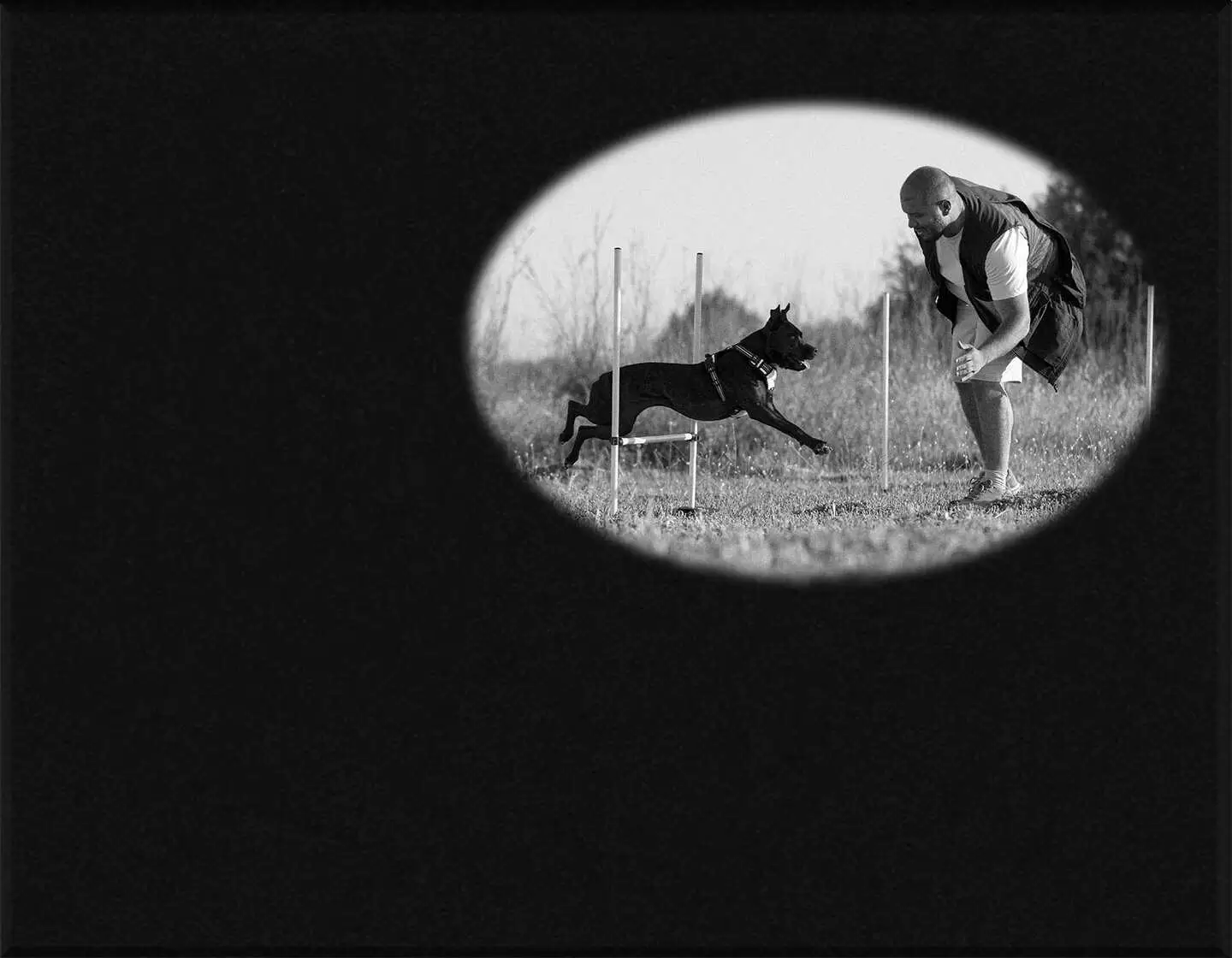 Lápida en láser mascota L.628