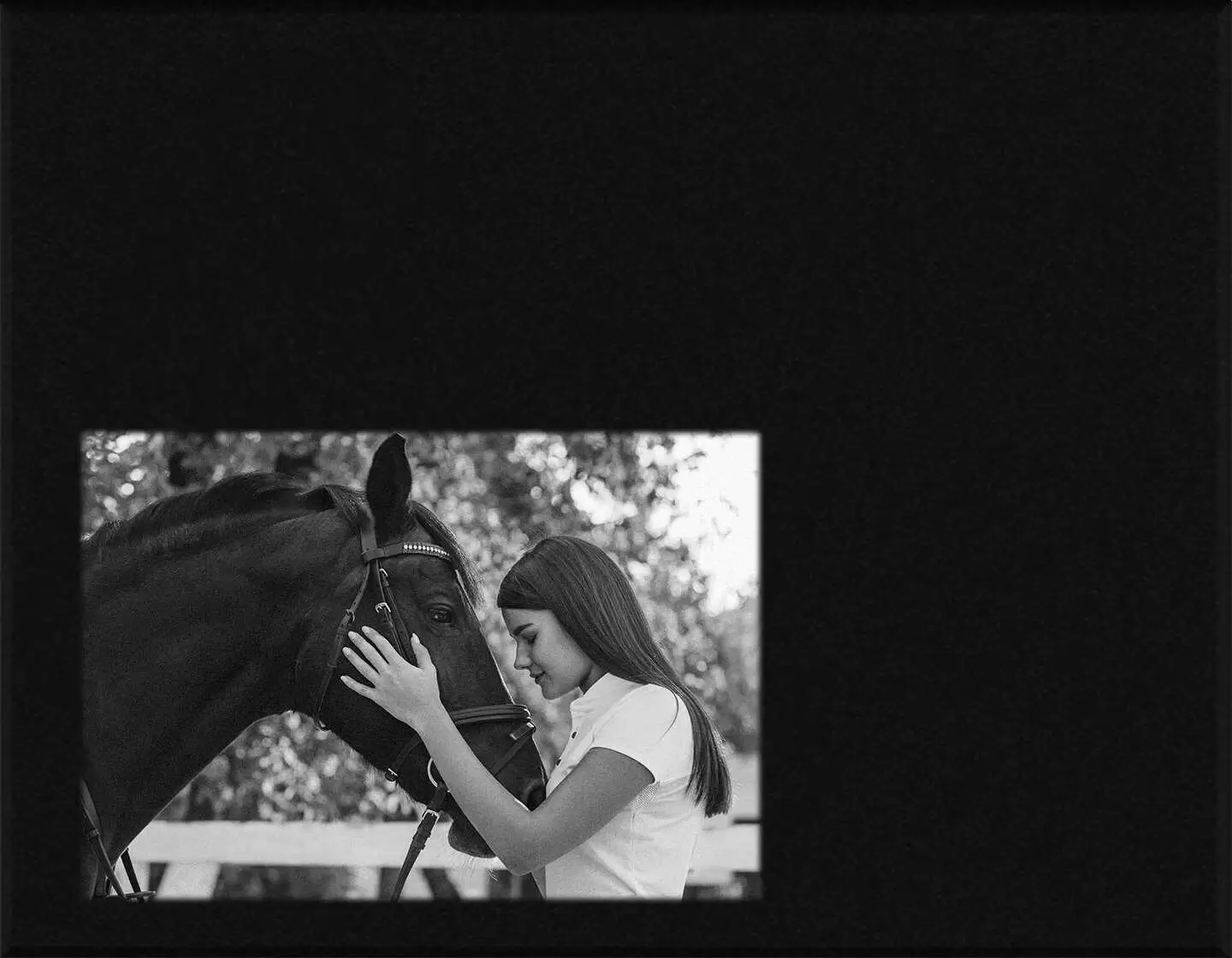 Lápida en láser mascota L.629