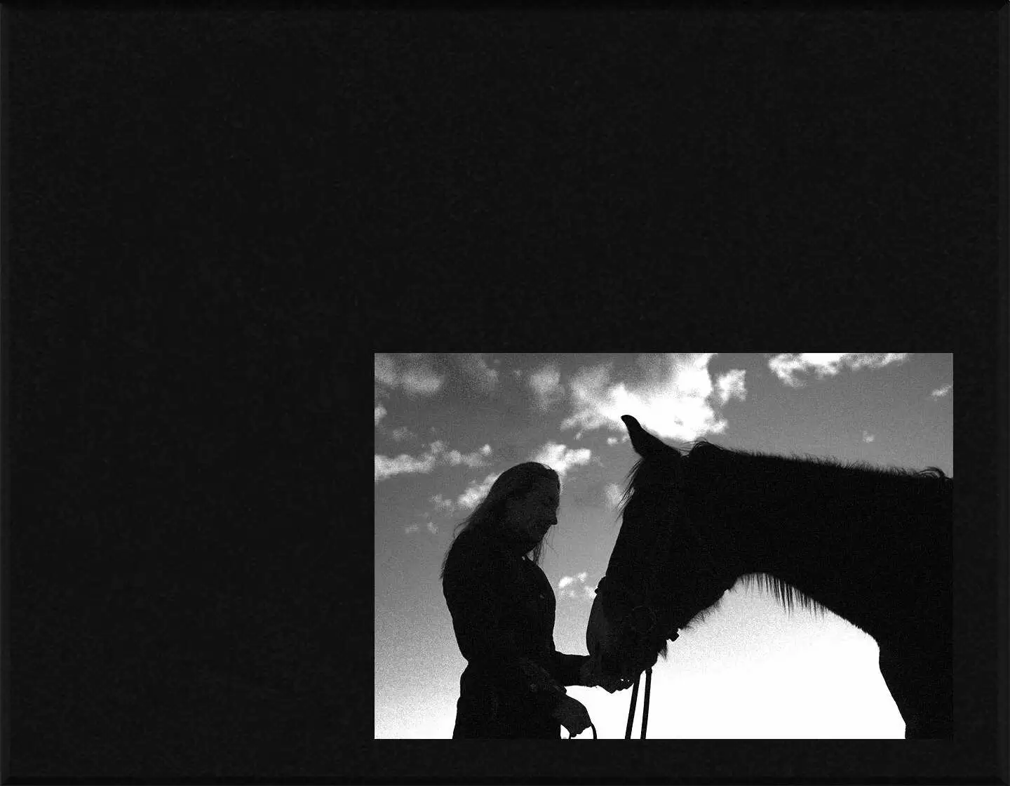 Lápida en láser mascota L.630