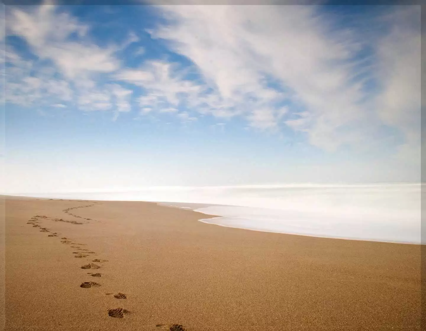 Porcelana playa I.748