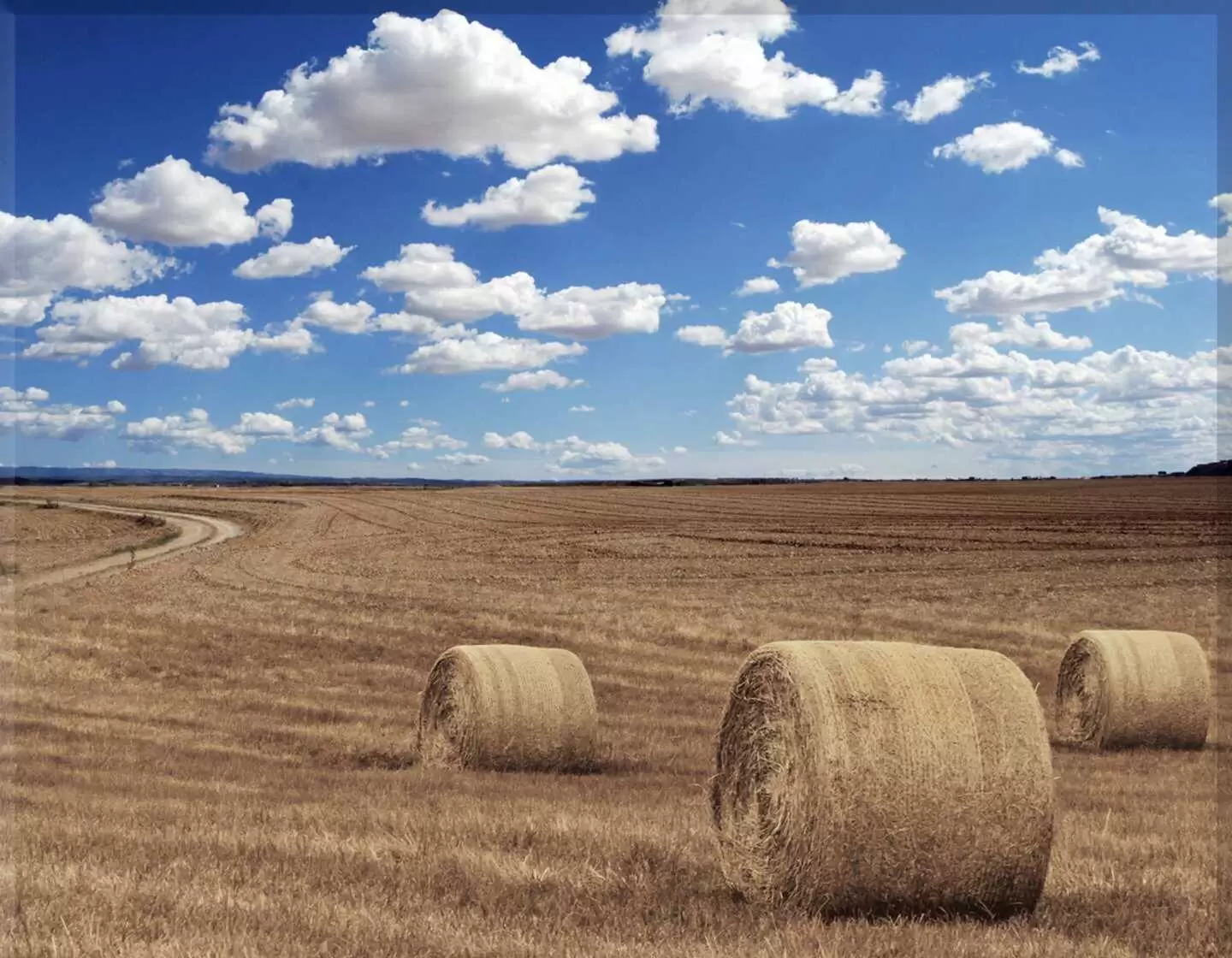 Porcelana campo I.750