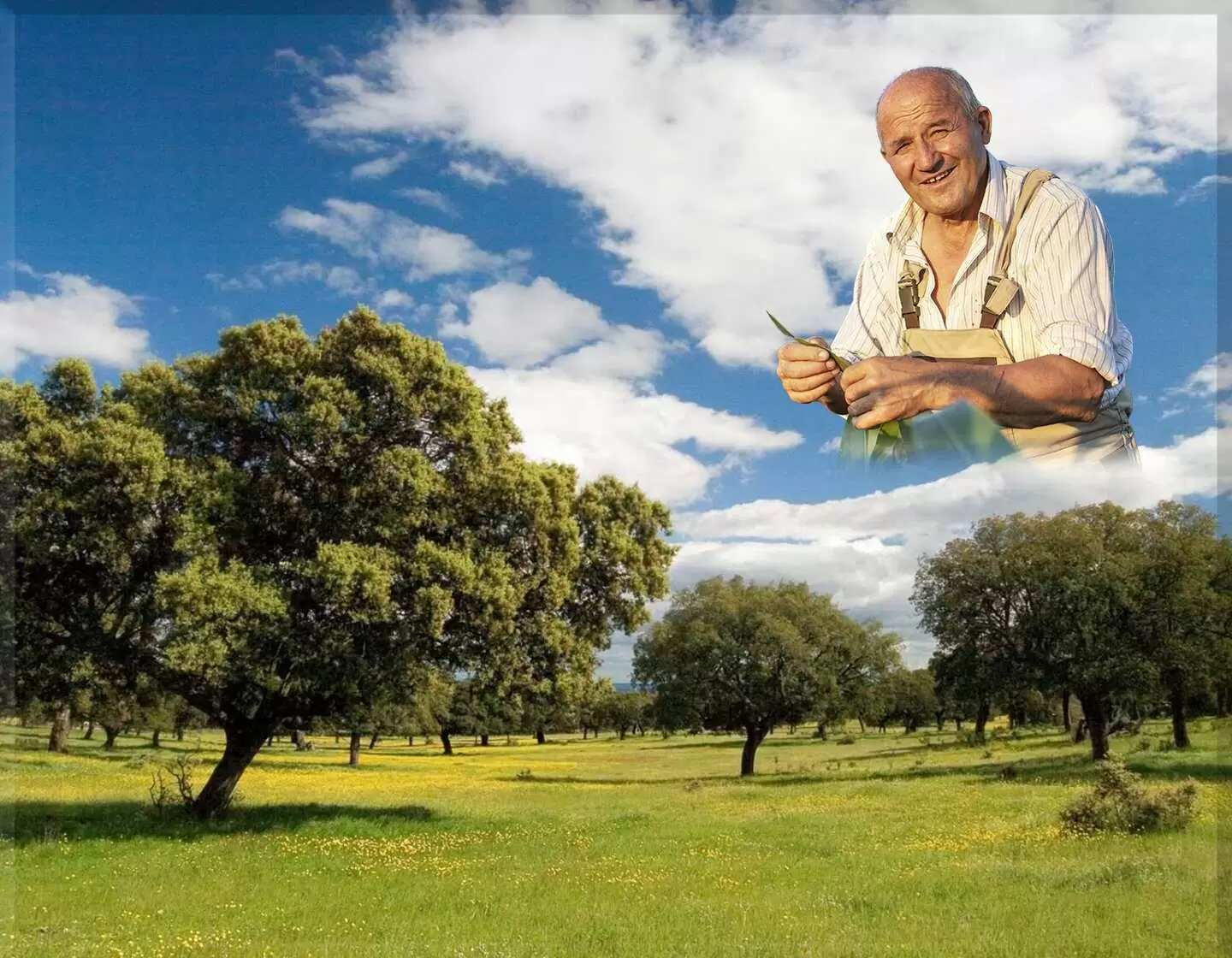 Porcelana naturaleza I.755