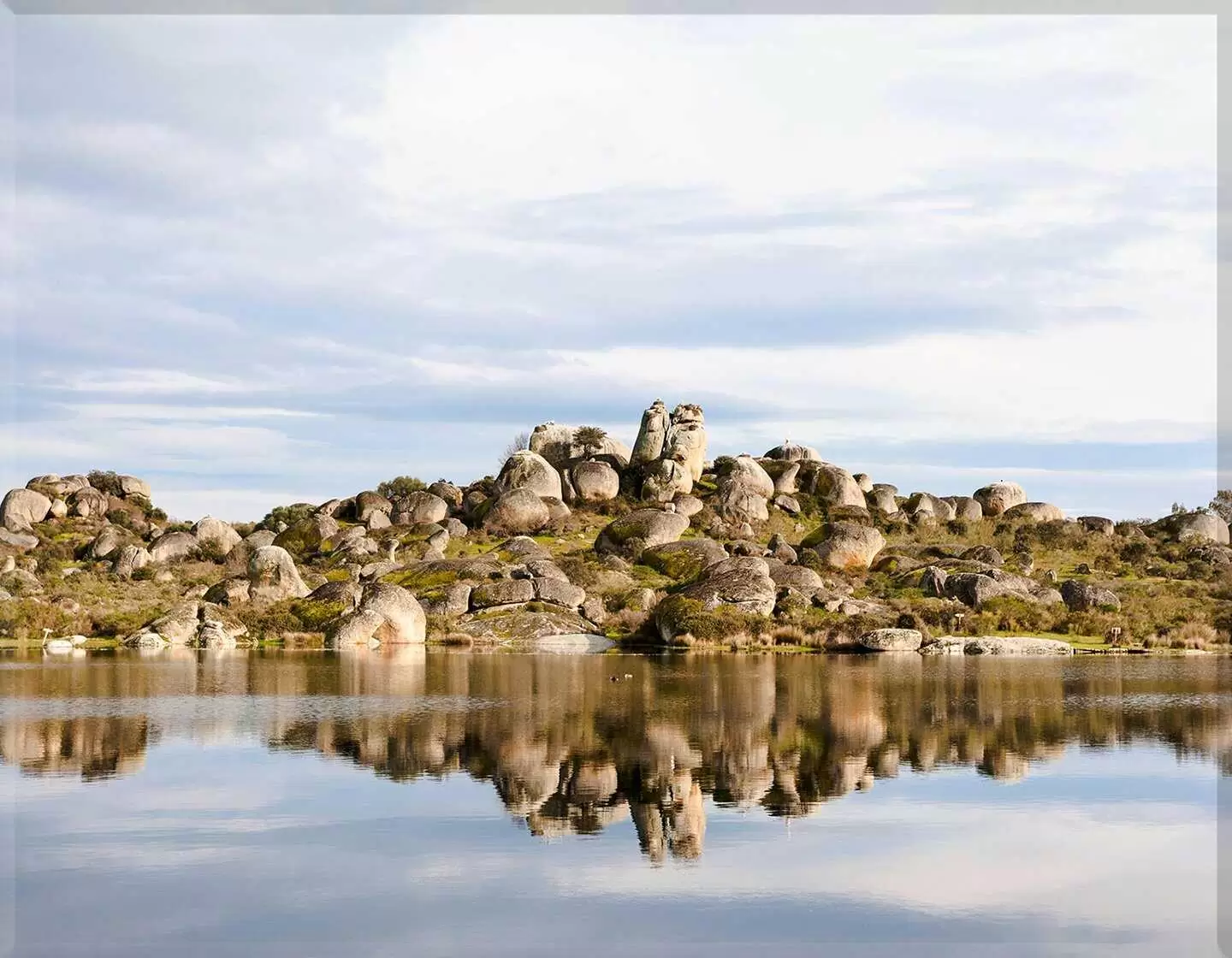 Porcelana naturaleza I.756