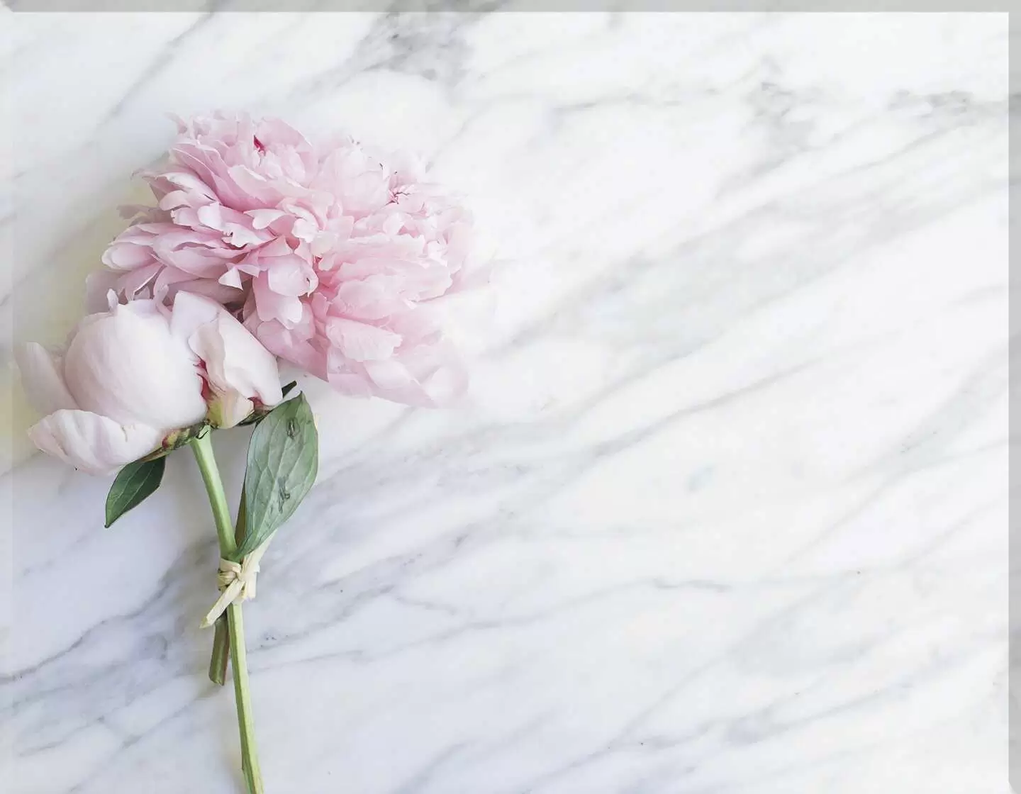 Porcelana mármol I.761