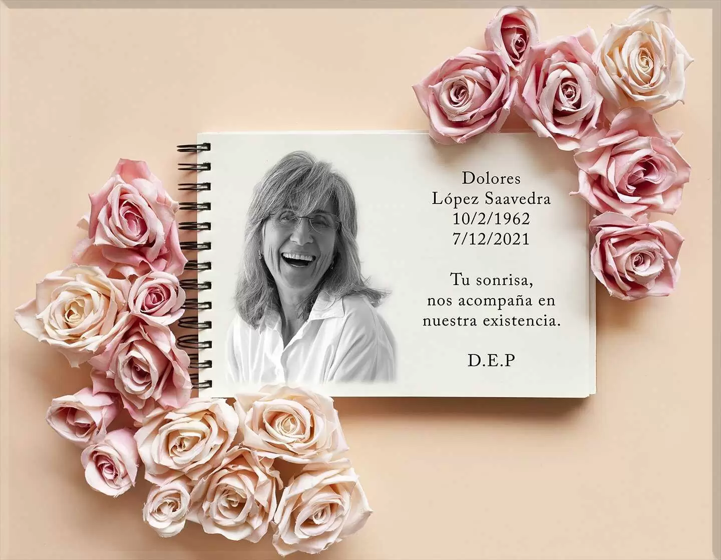 Porcelana cuaderno I.762