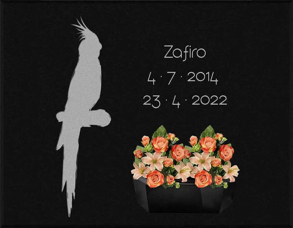 Lápida ninfa M.1108