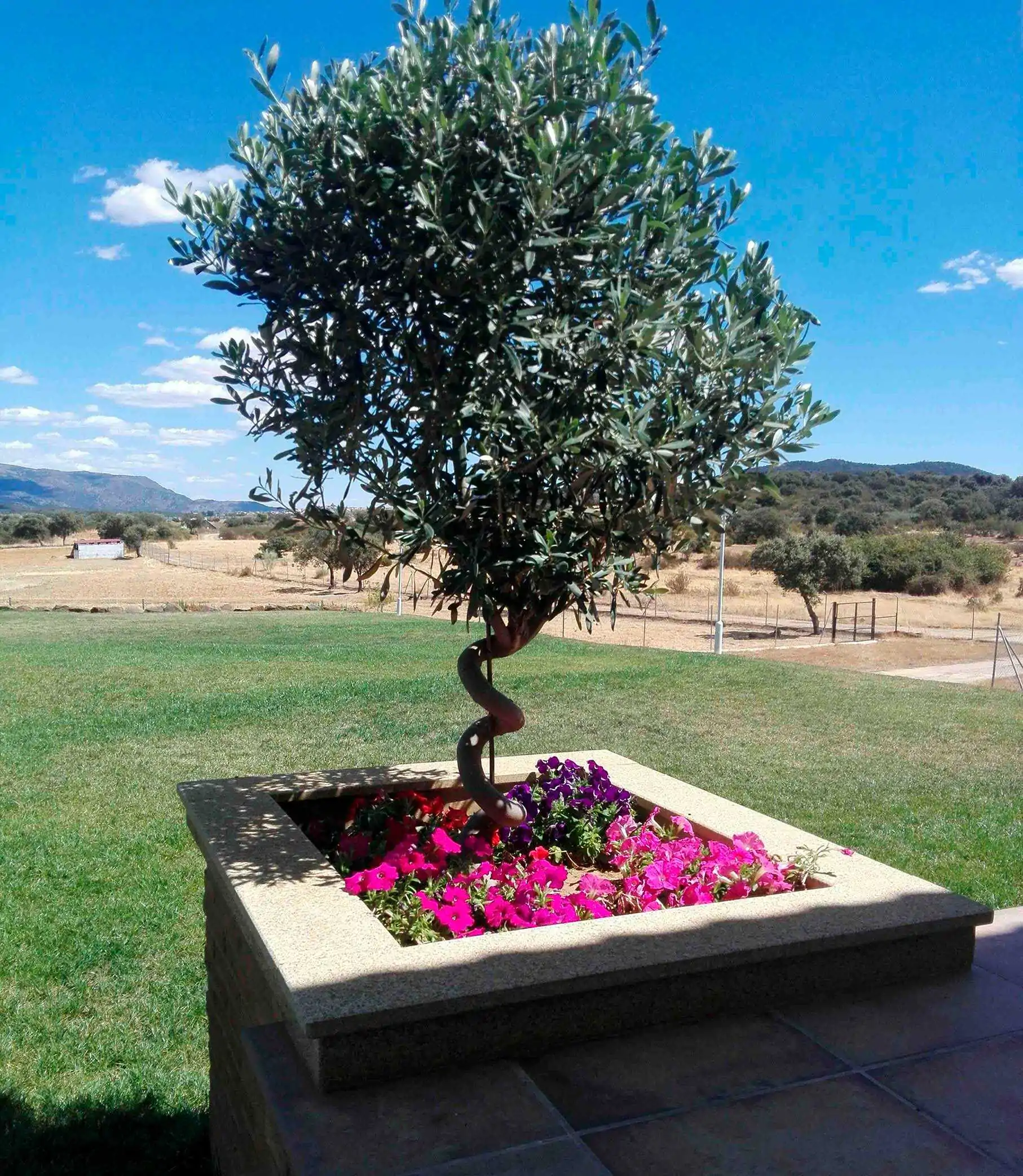 Revestimiento para macetero en granito Albero - Imagen 3