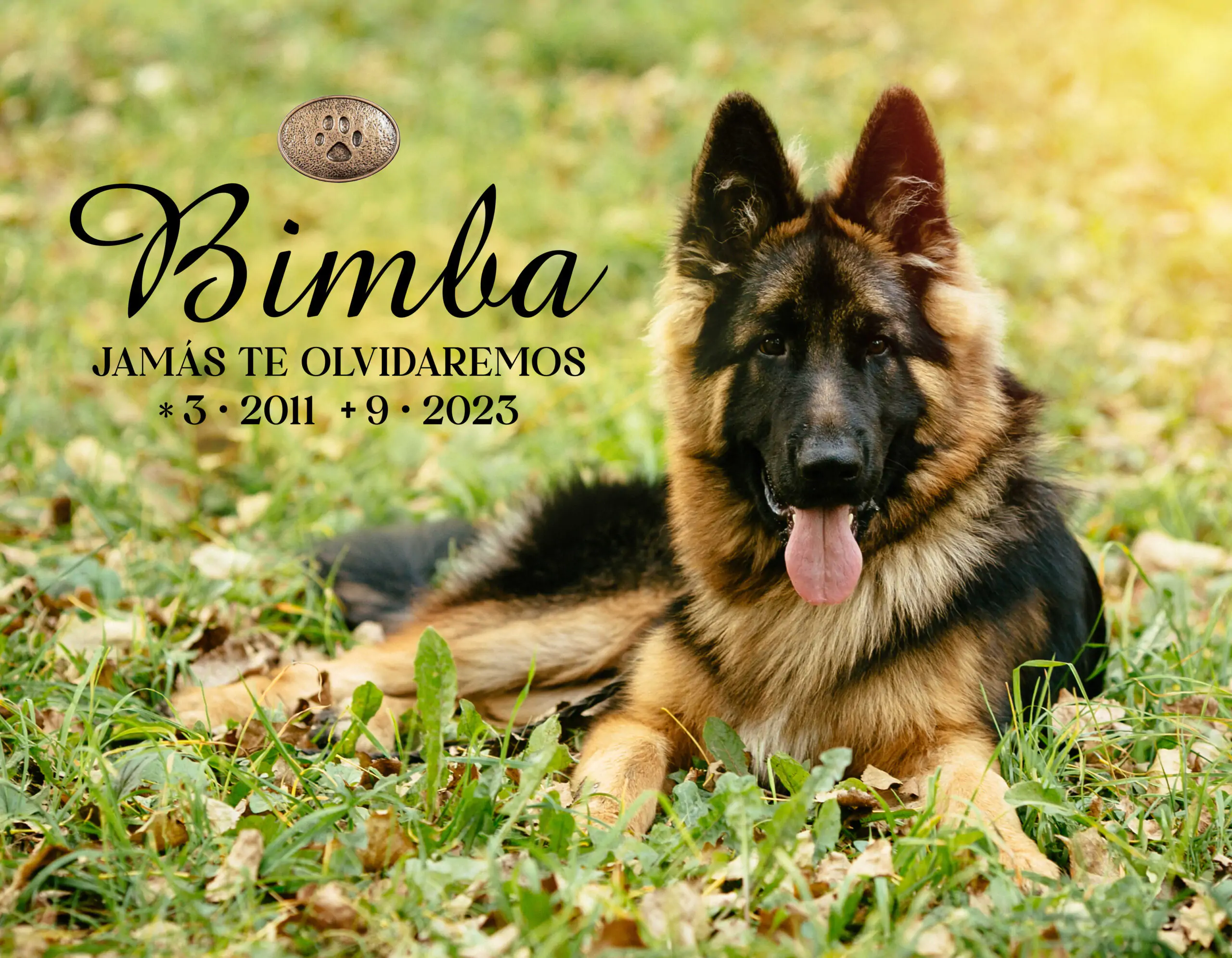 Lápida de porcelana con perro M.1111