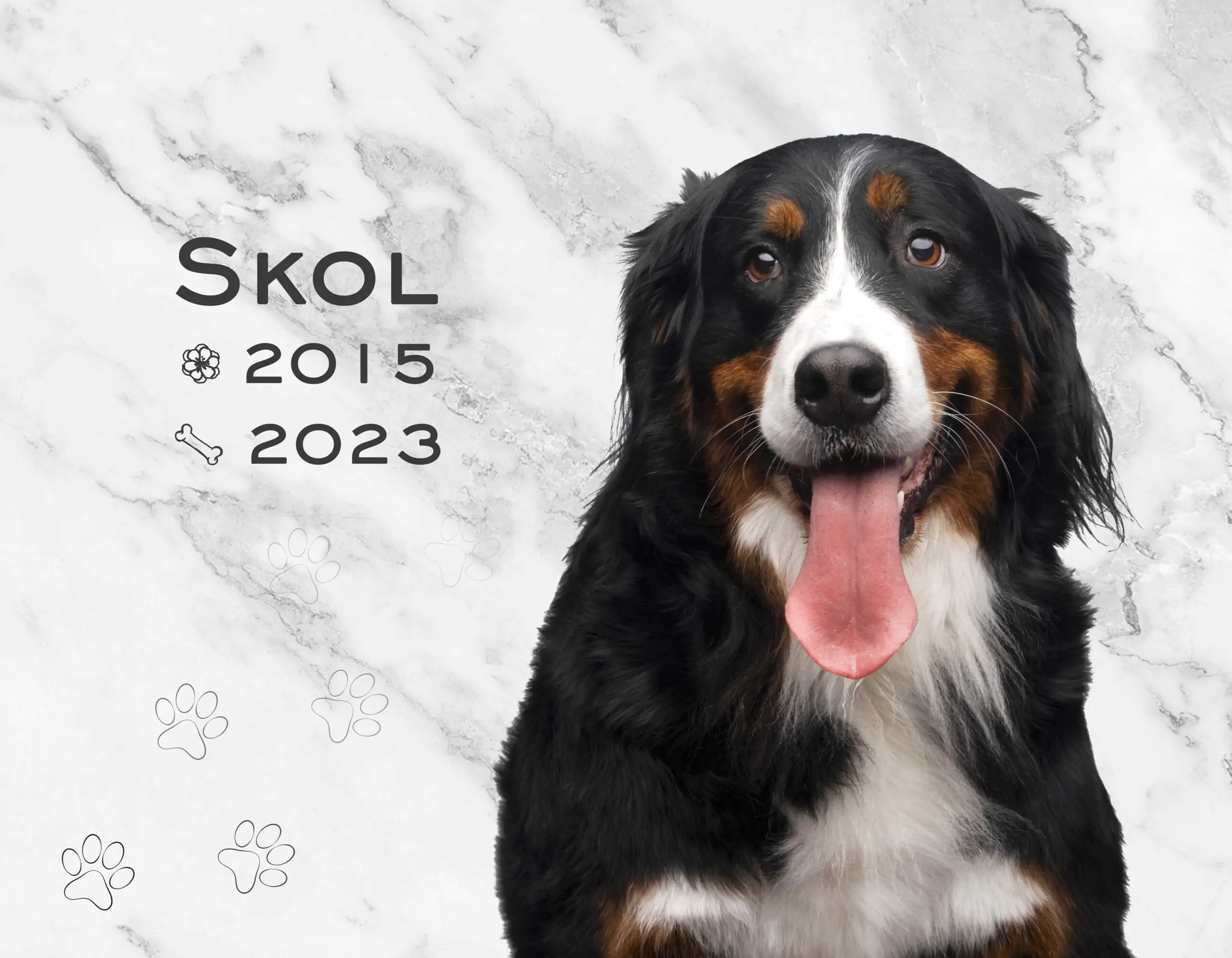 Lápida de porcelana con perro M.1110