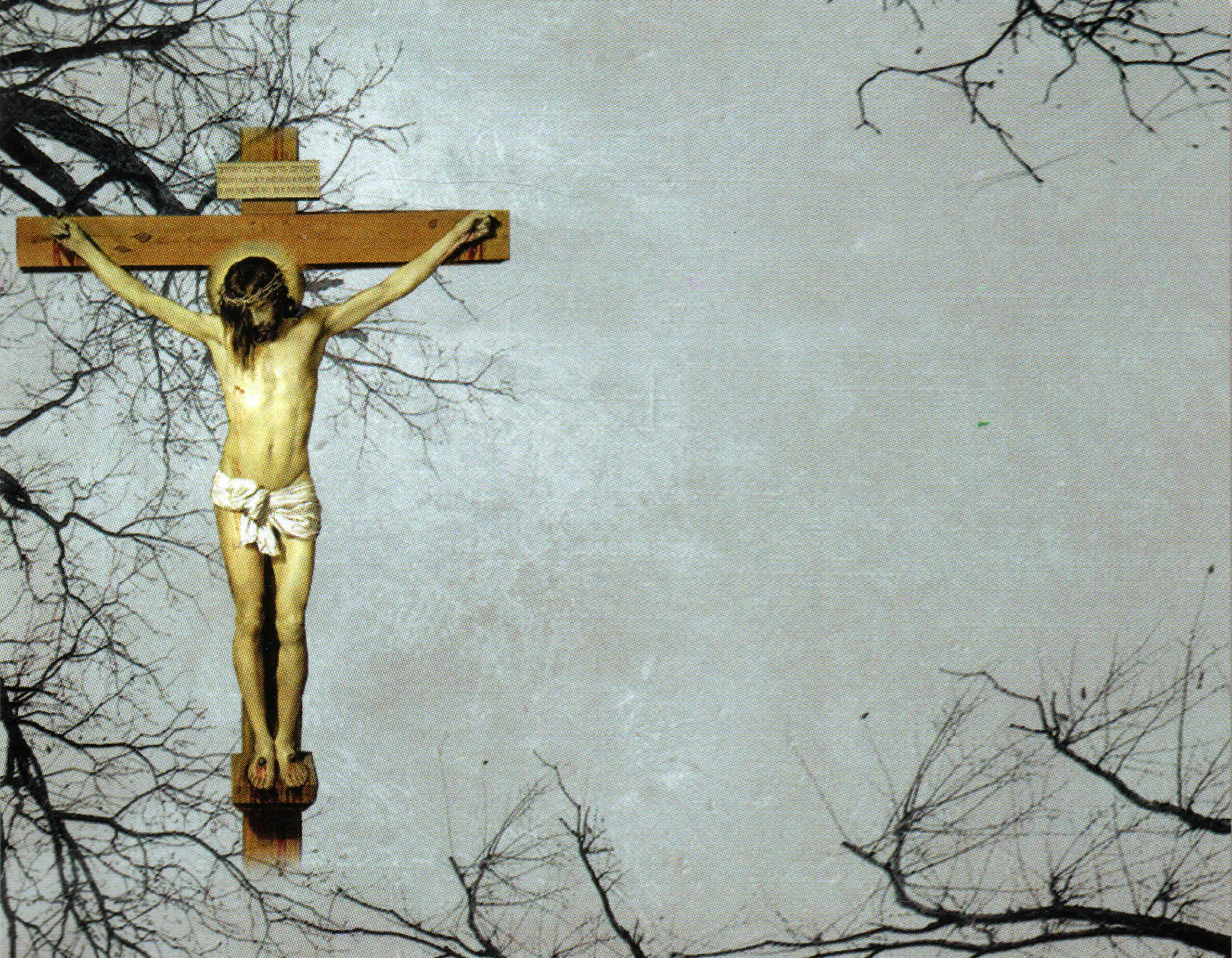 Porcelana Serie Natura 1