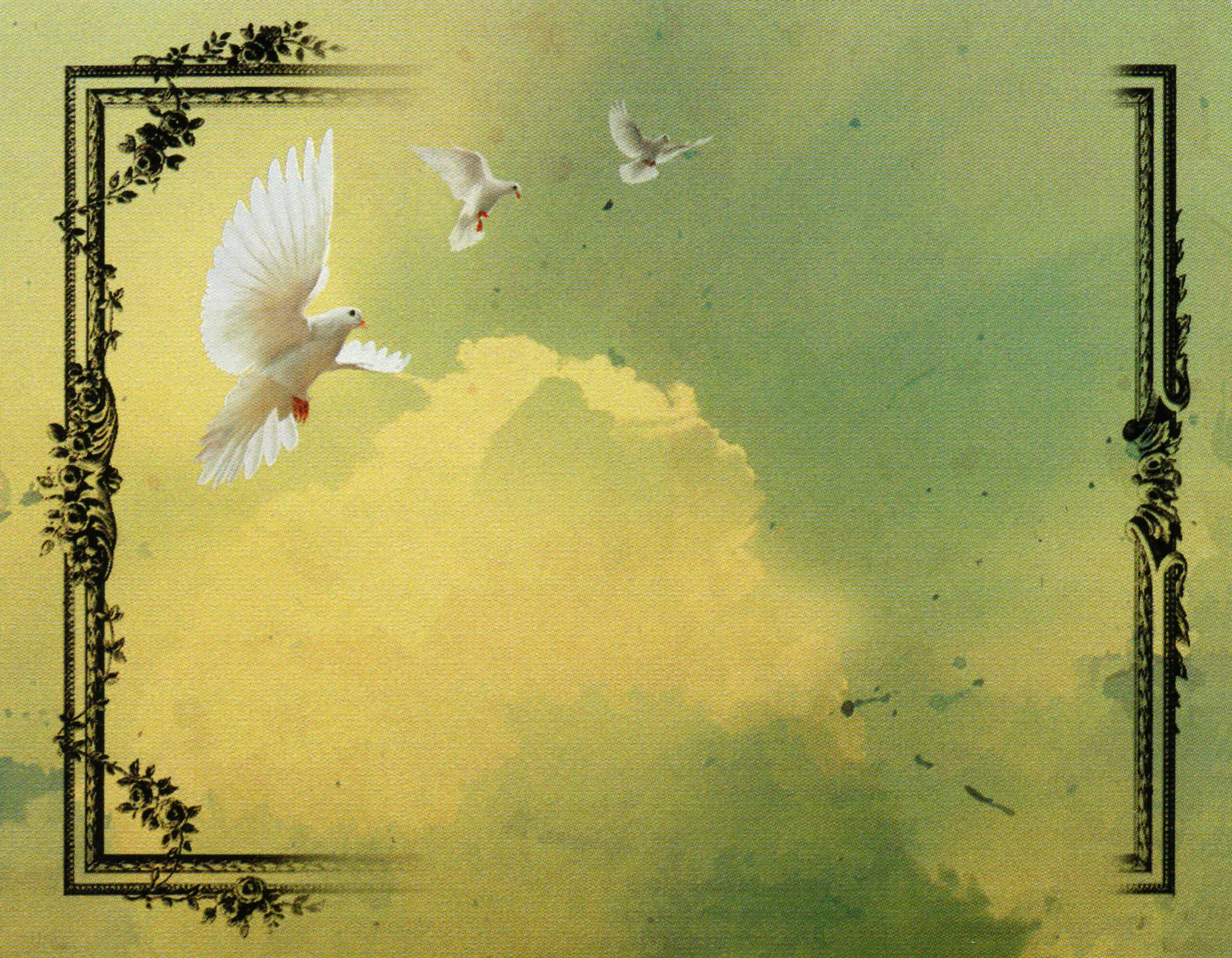 Porcelana Serie Natura 2