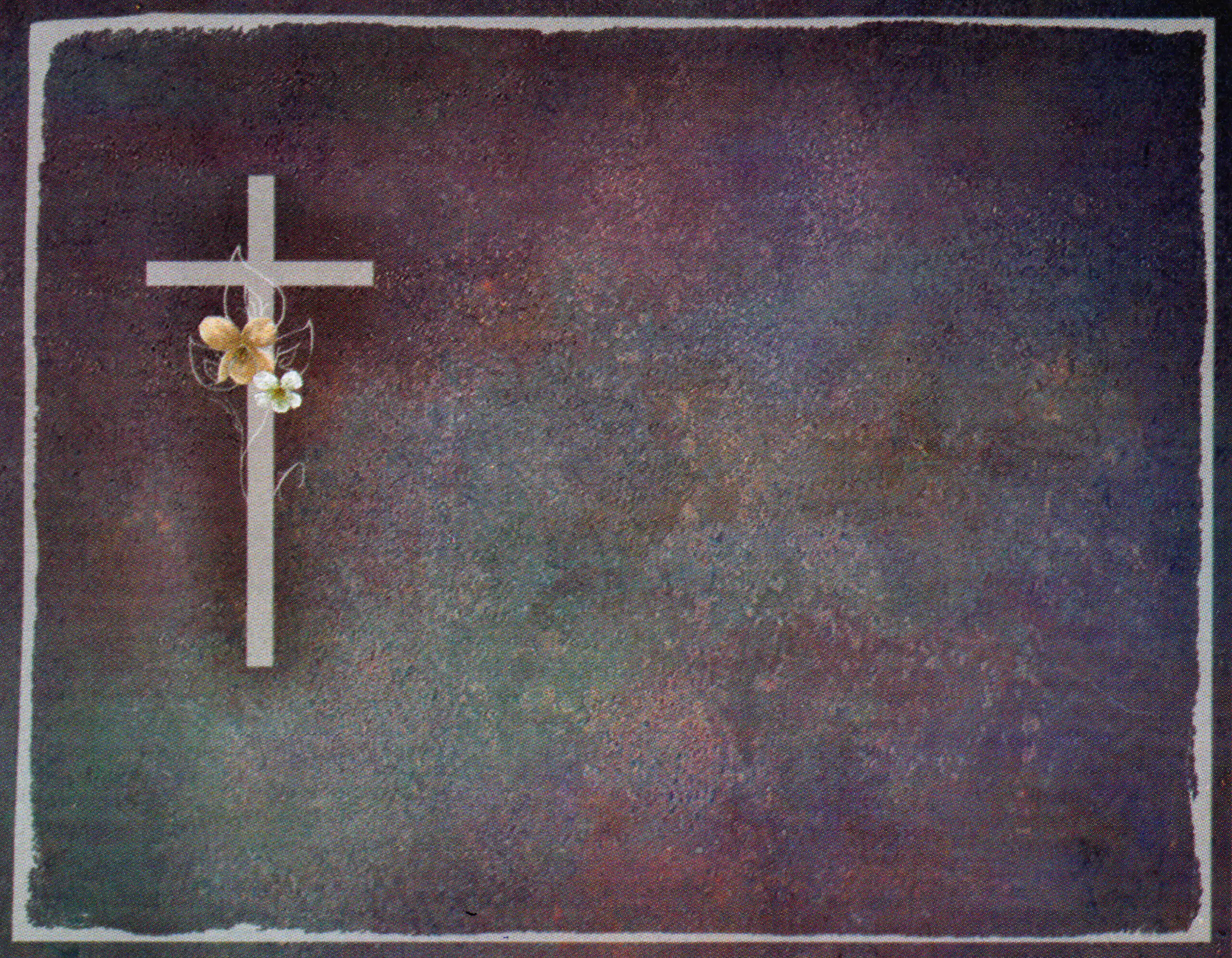 Porcelana Serie Natura 6