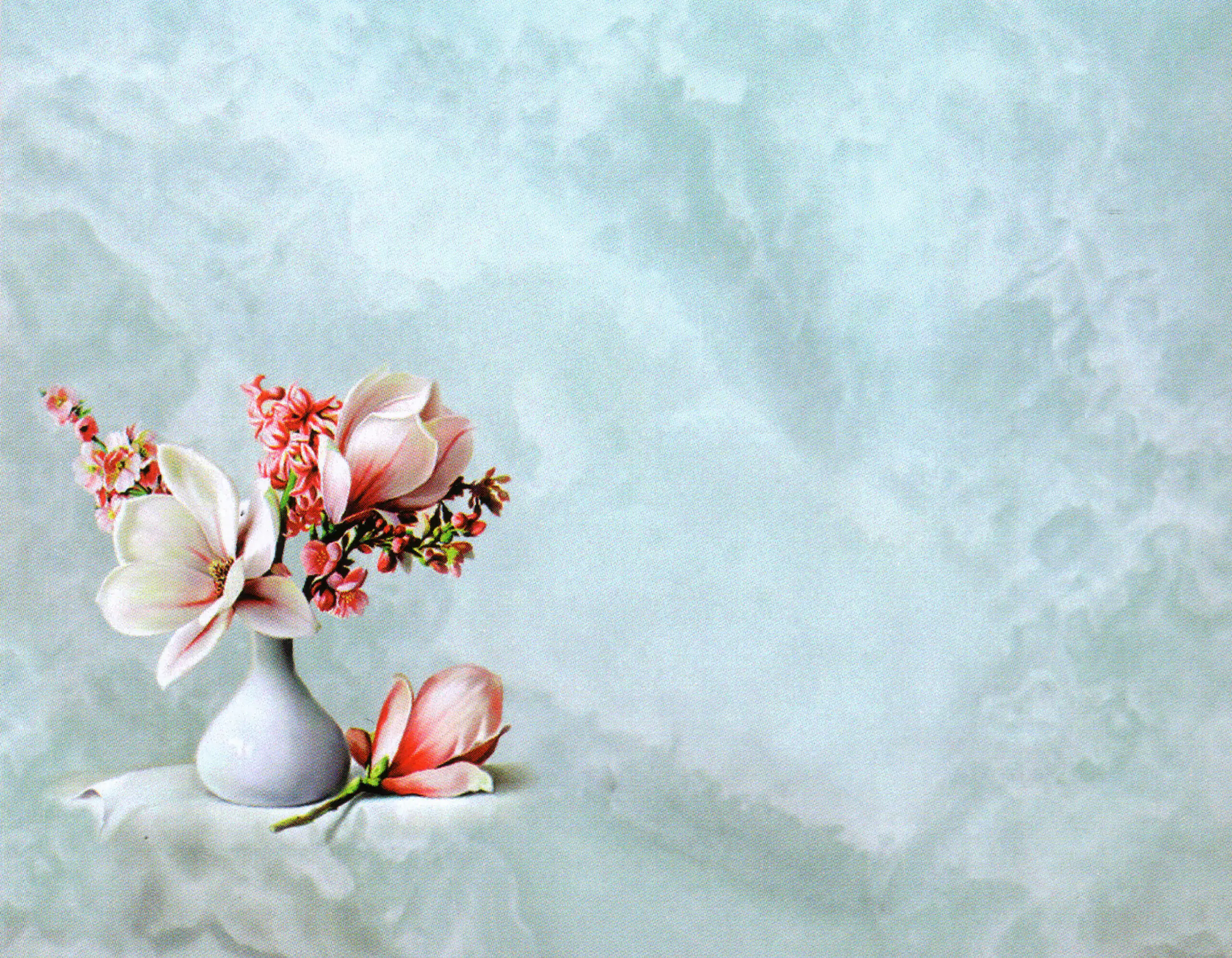 Porcelana Serie Natura 9