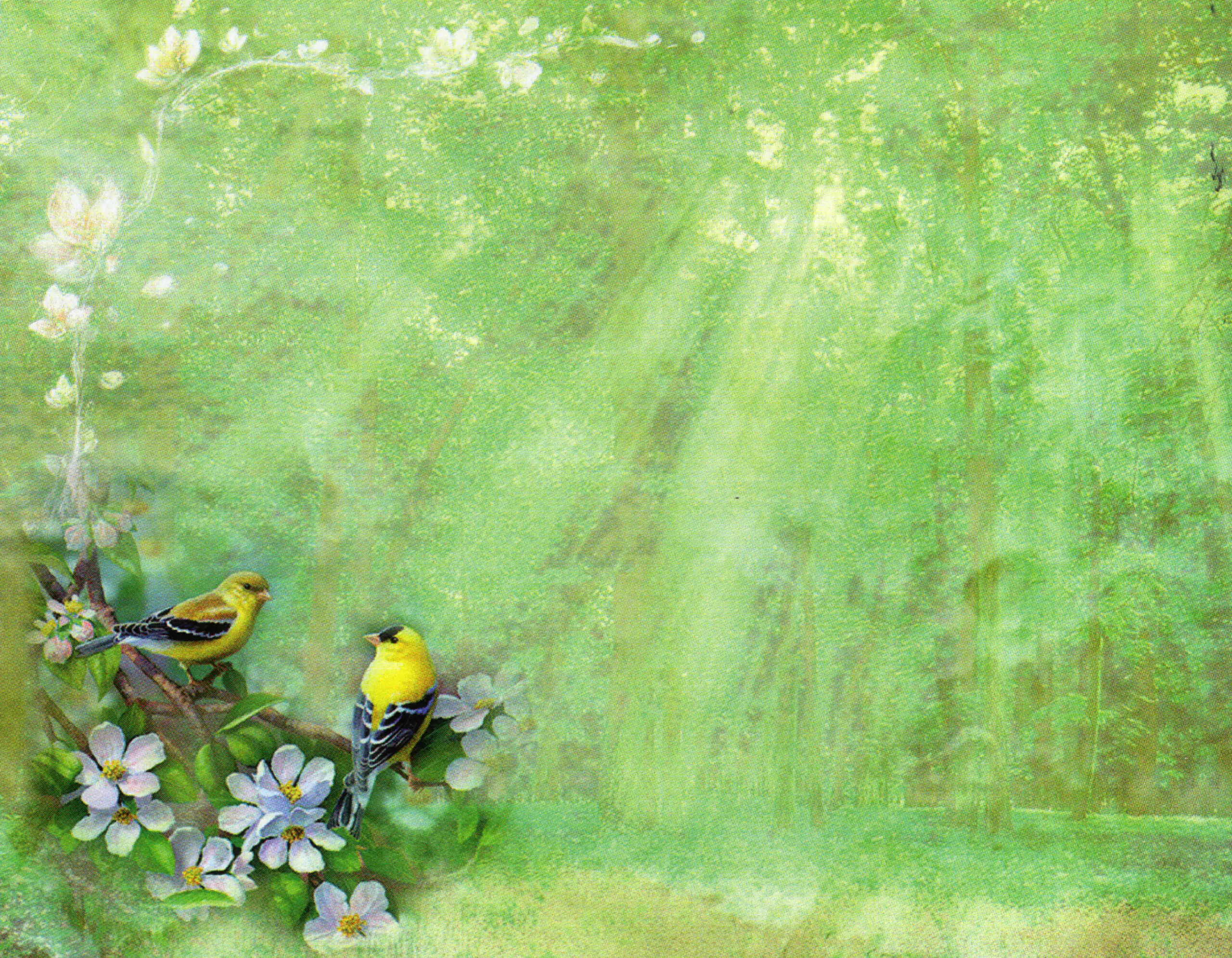 Porcelana Serie Natura 10