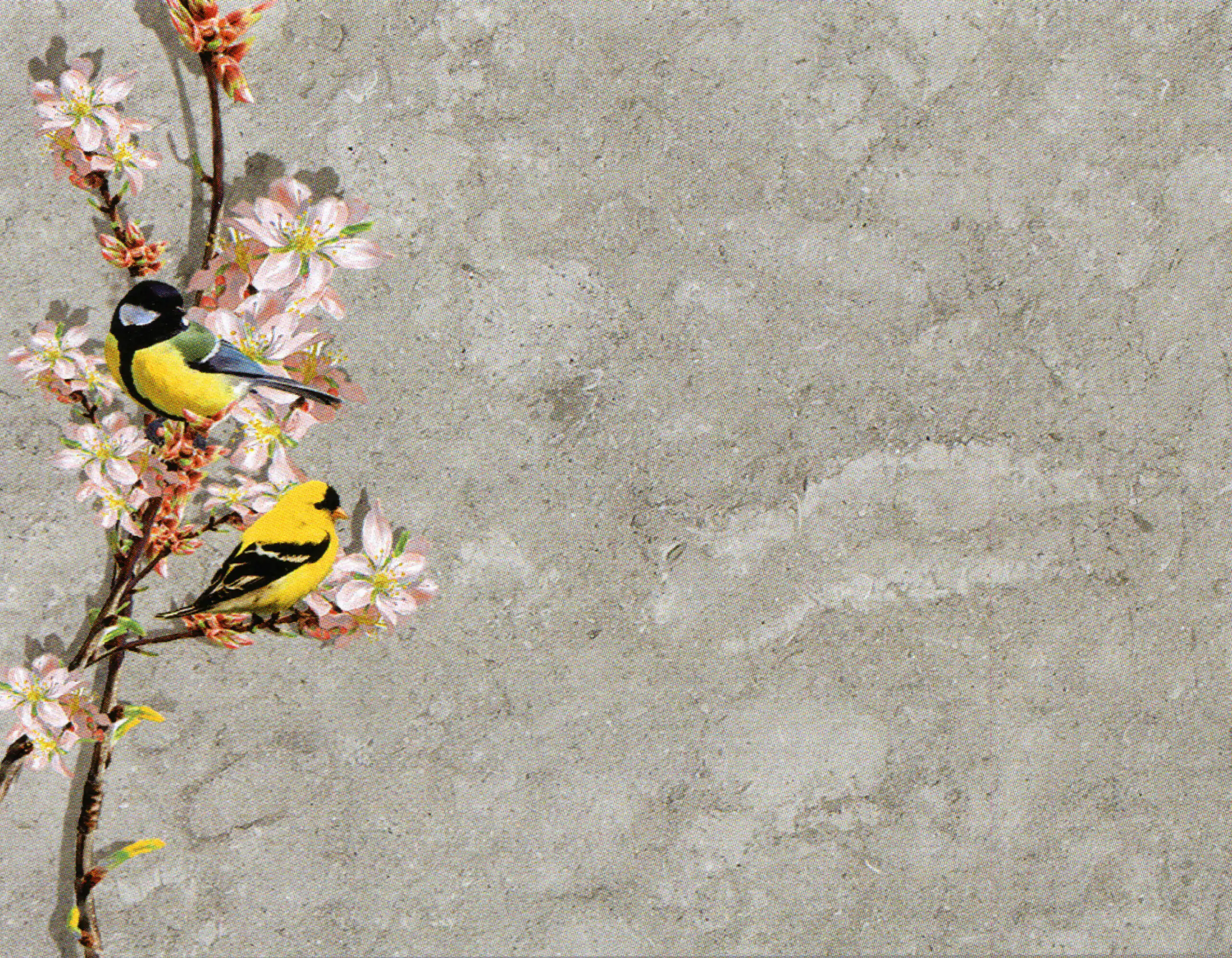 Porcelana Serie Natura 14