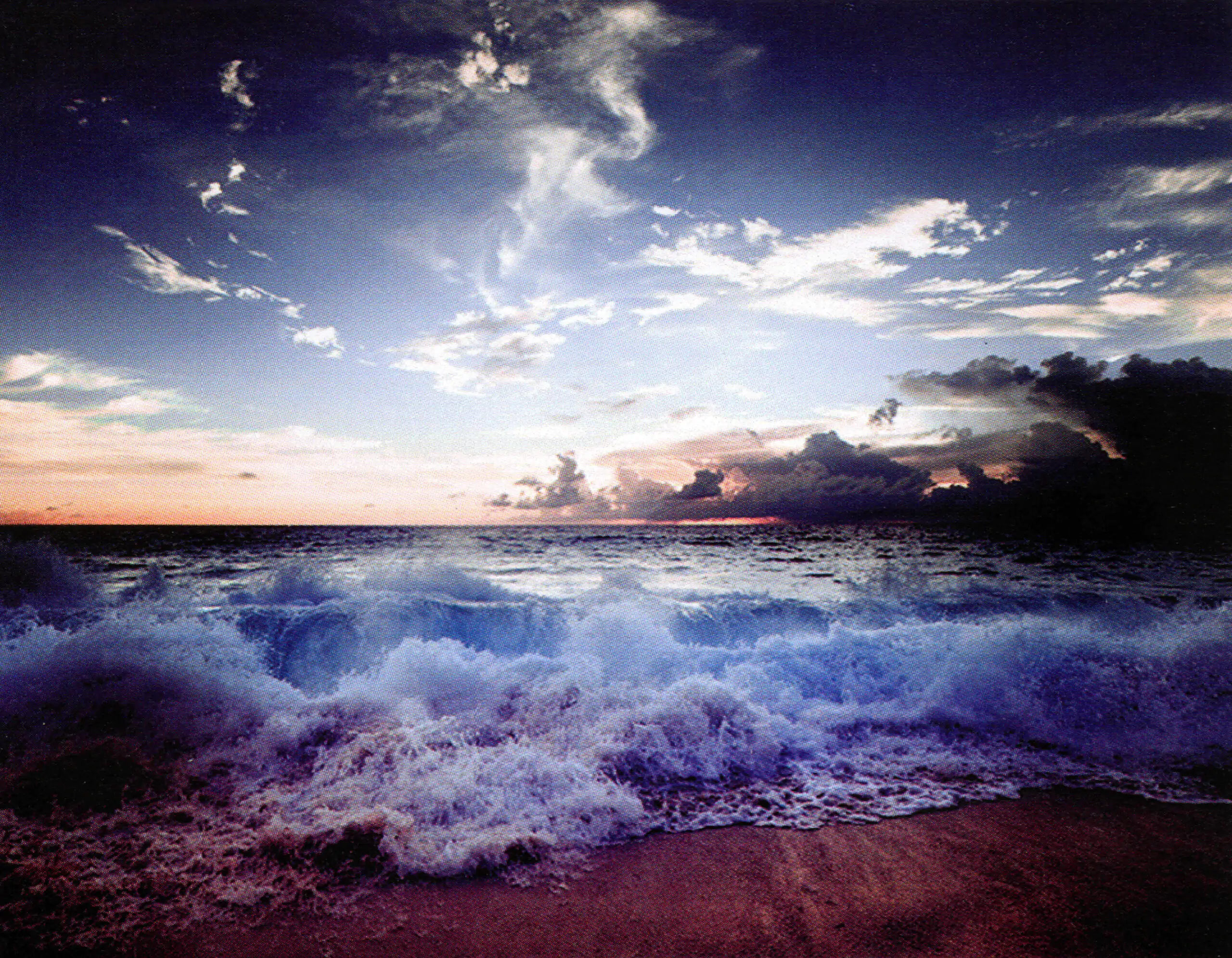 Porcelana Serie Natura 17