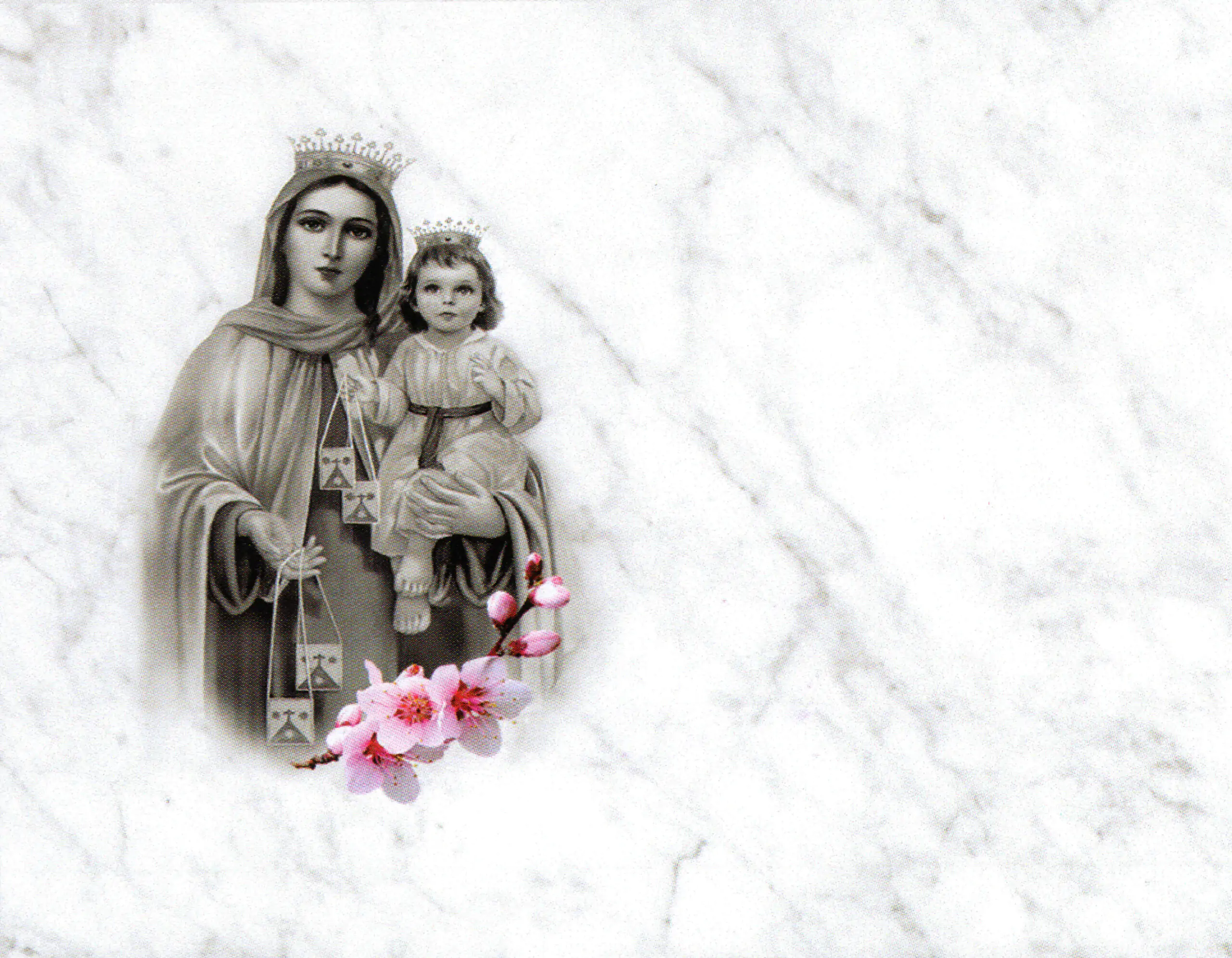 Porcelana Serie Natura 18