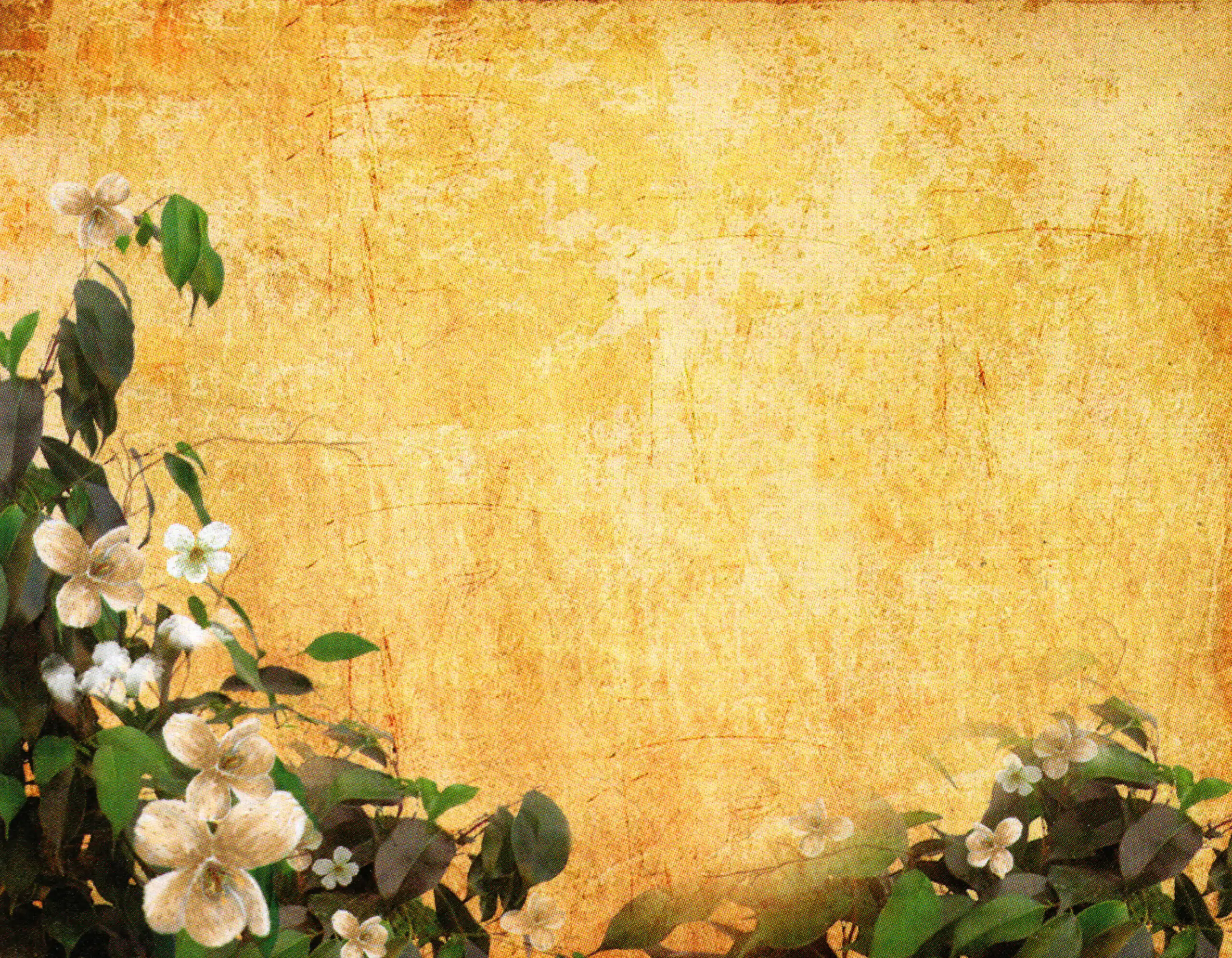 Porcelana Serie Natura 20