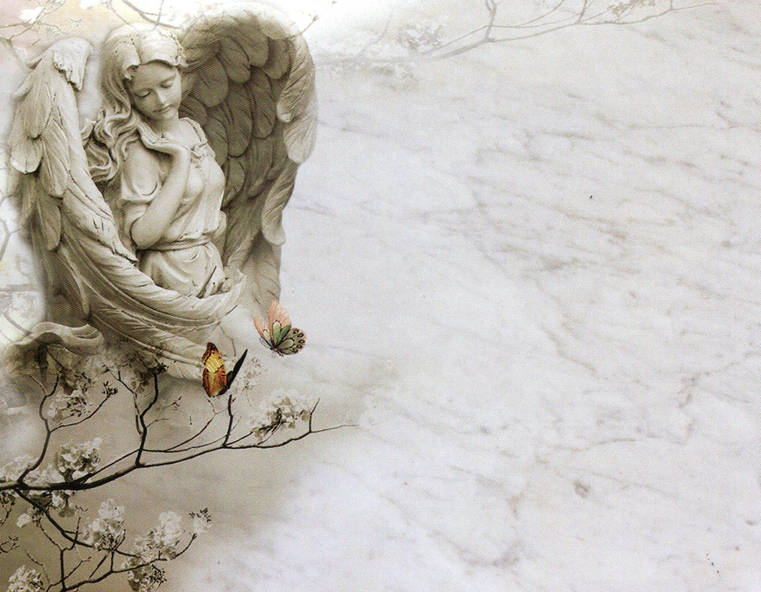 Porcelana Serie Natura 28