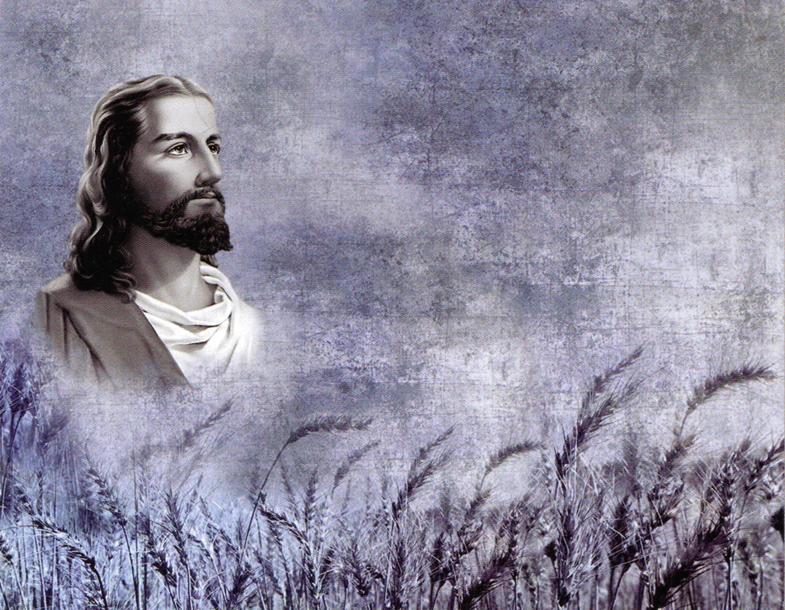 Porcelana Serie Natura 31