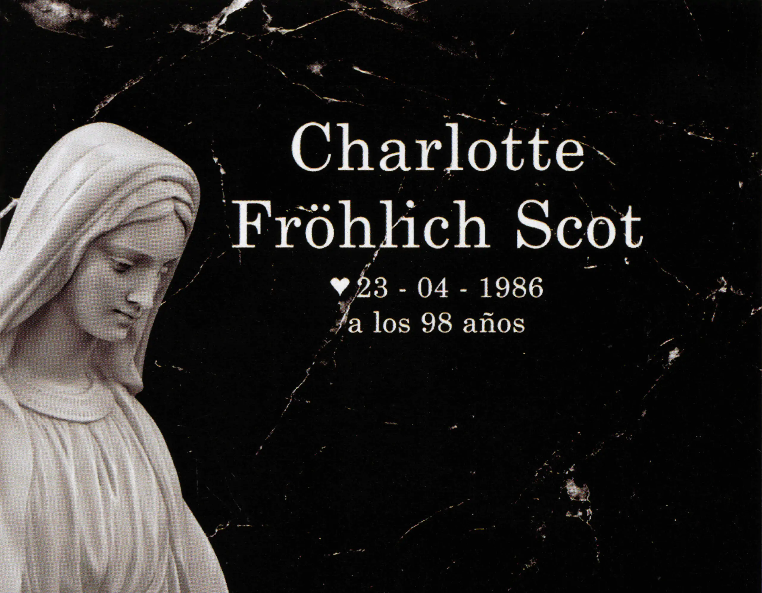 Porcelana Serie Natura 32