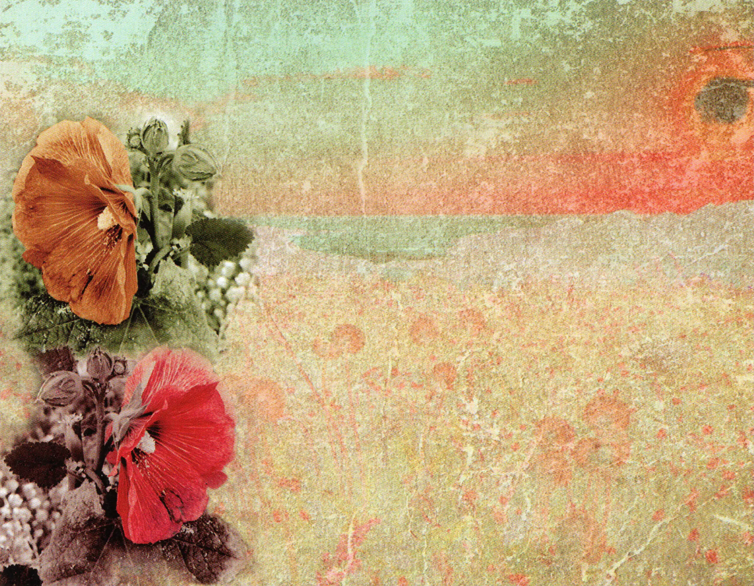 Porcelana Serie Natura 35