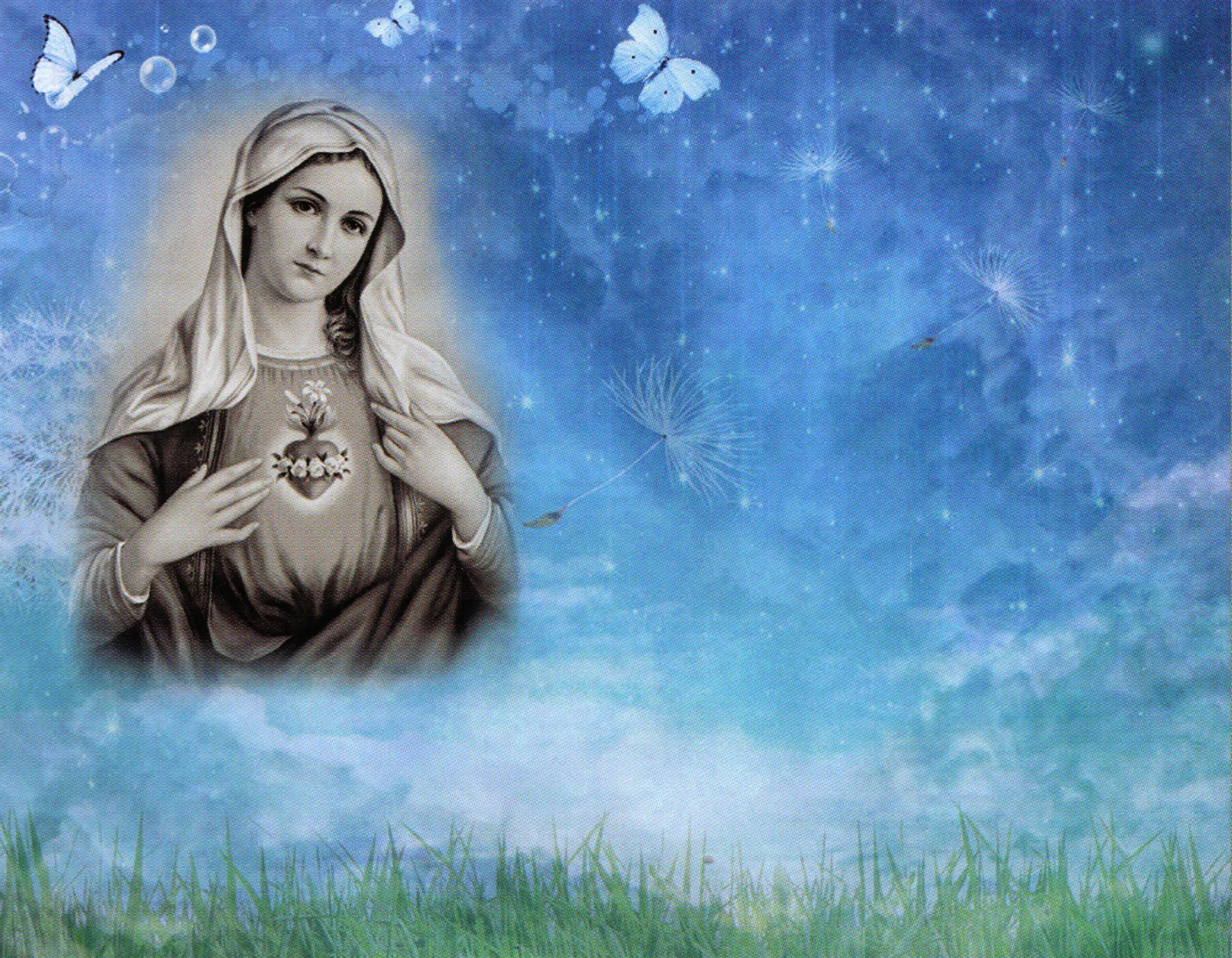 Porcelana Serie Natura 36