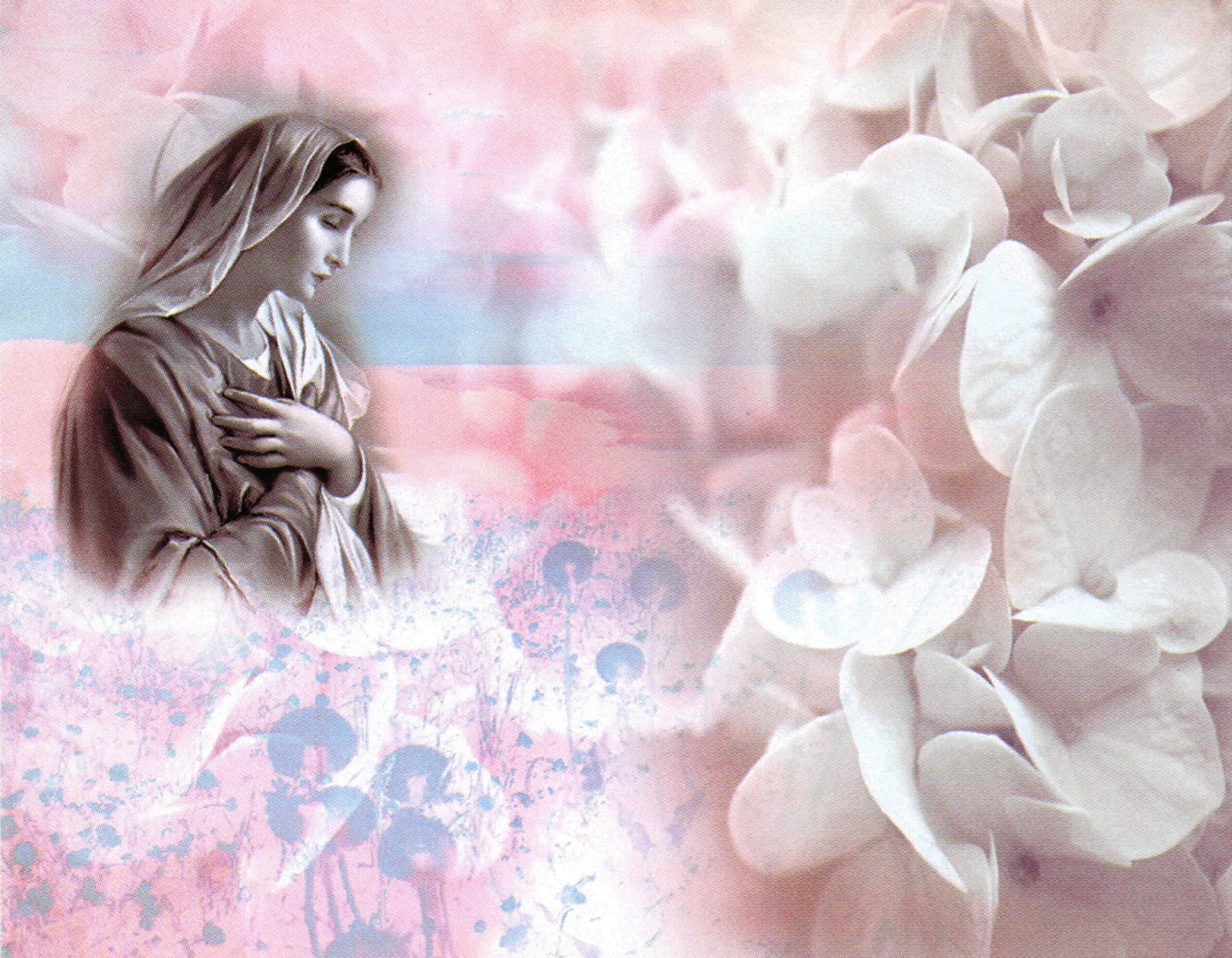 Porcelana Serie Natura 41