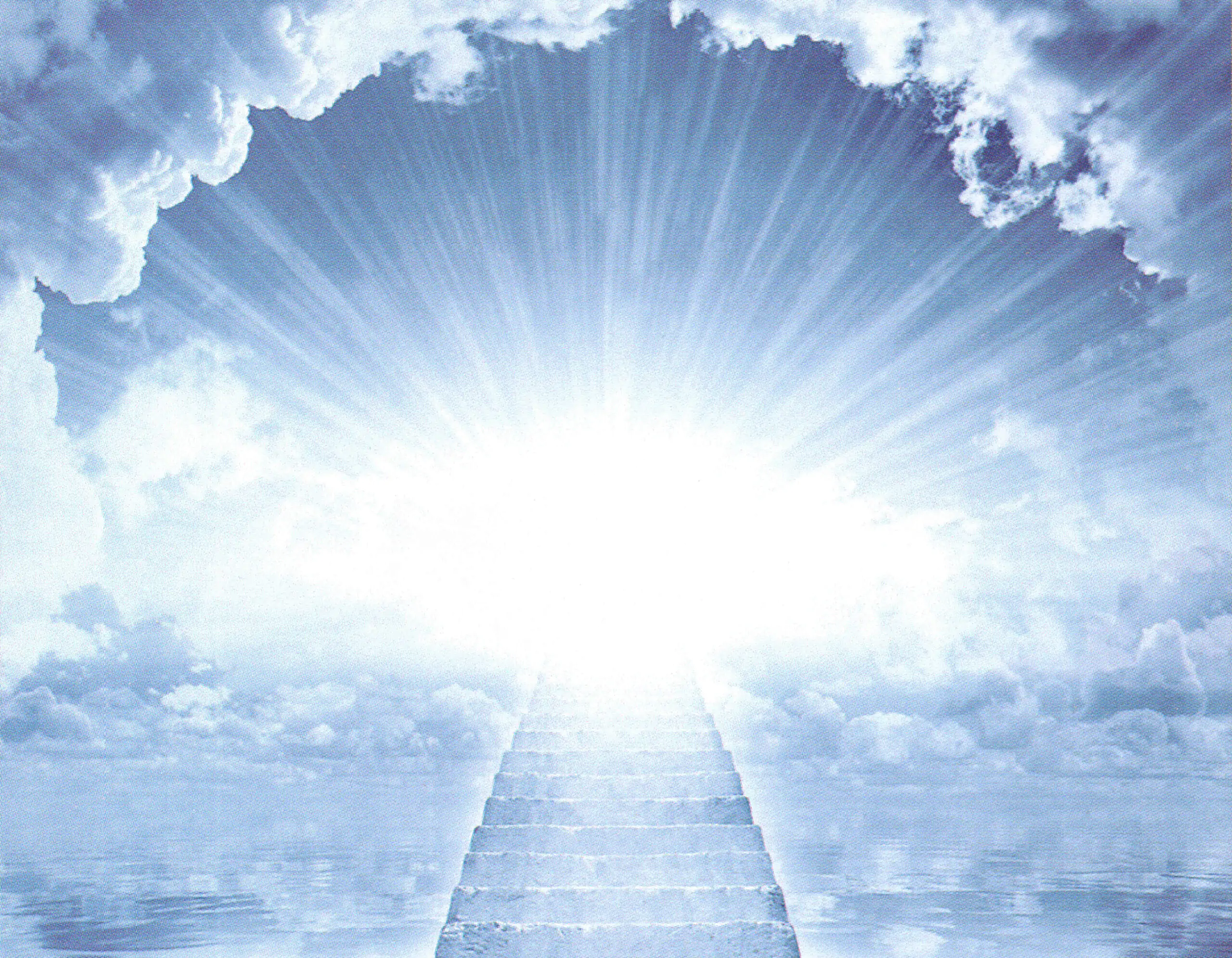 Porcelana Serie Natura 47