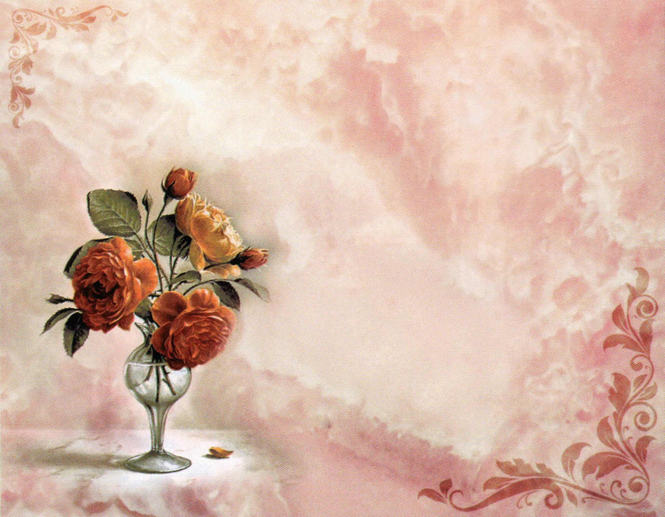 Porcelana Serie Natura 48