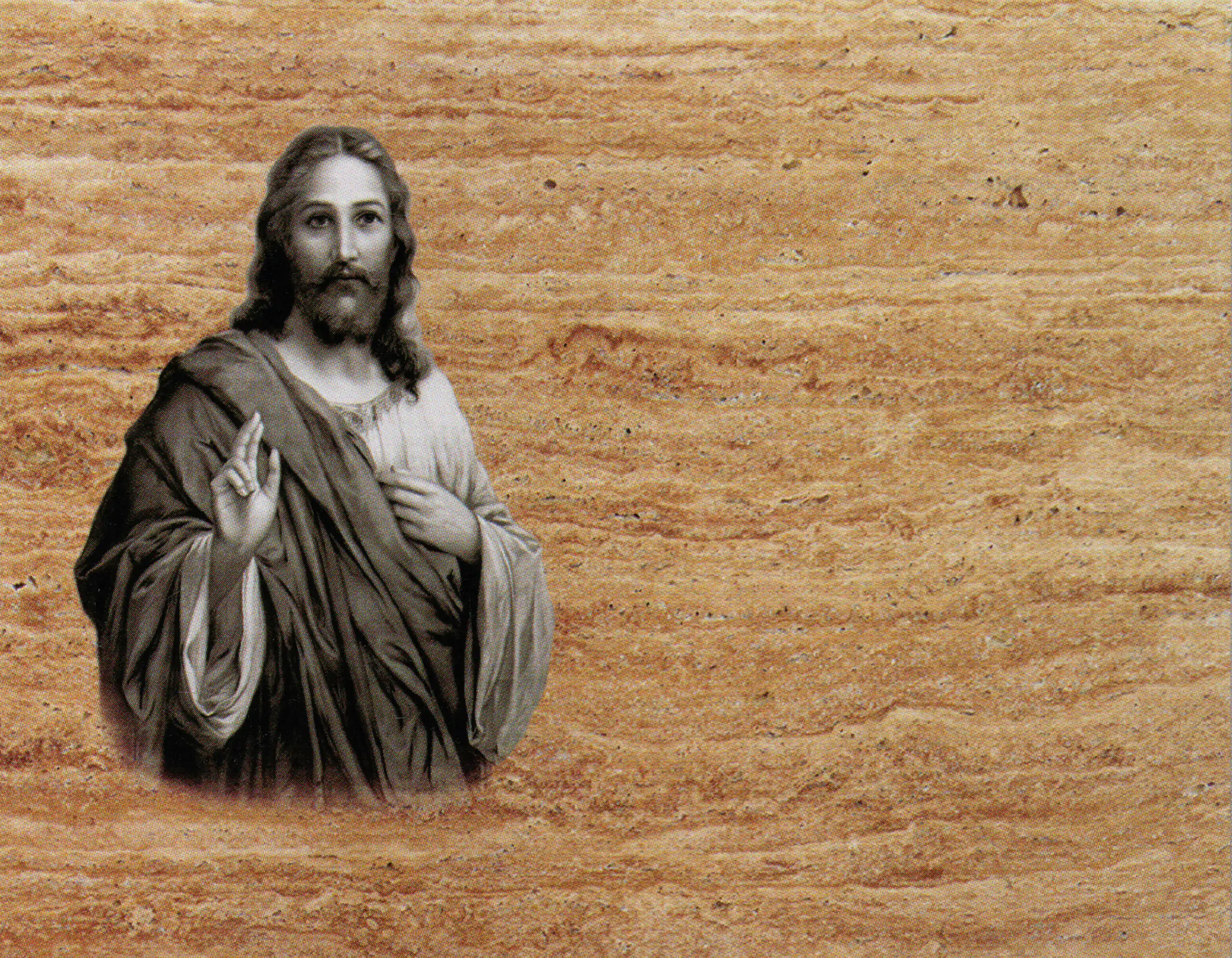 Porcelana Serie Natura 49