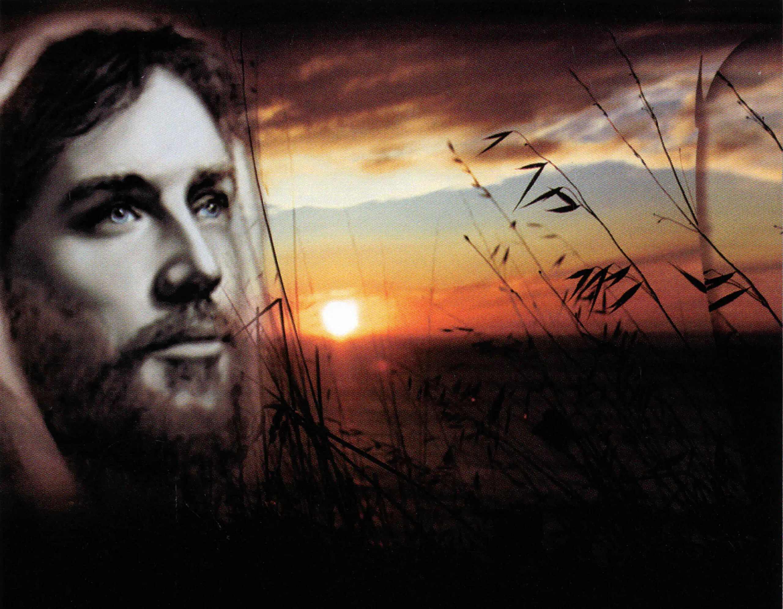 Porcelana Serie Natura 50