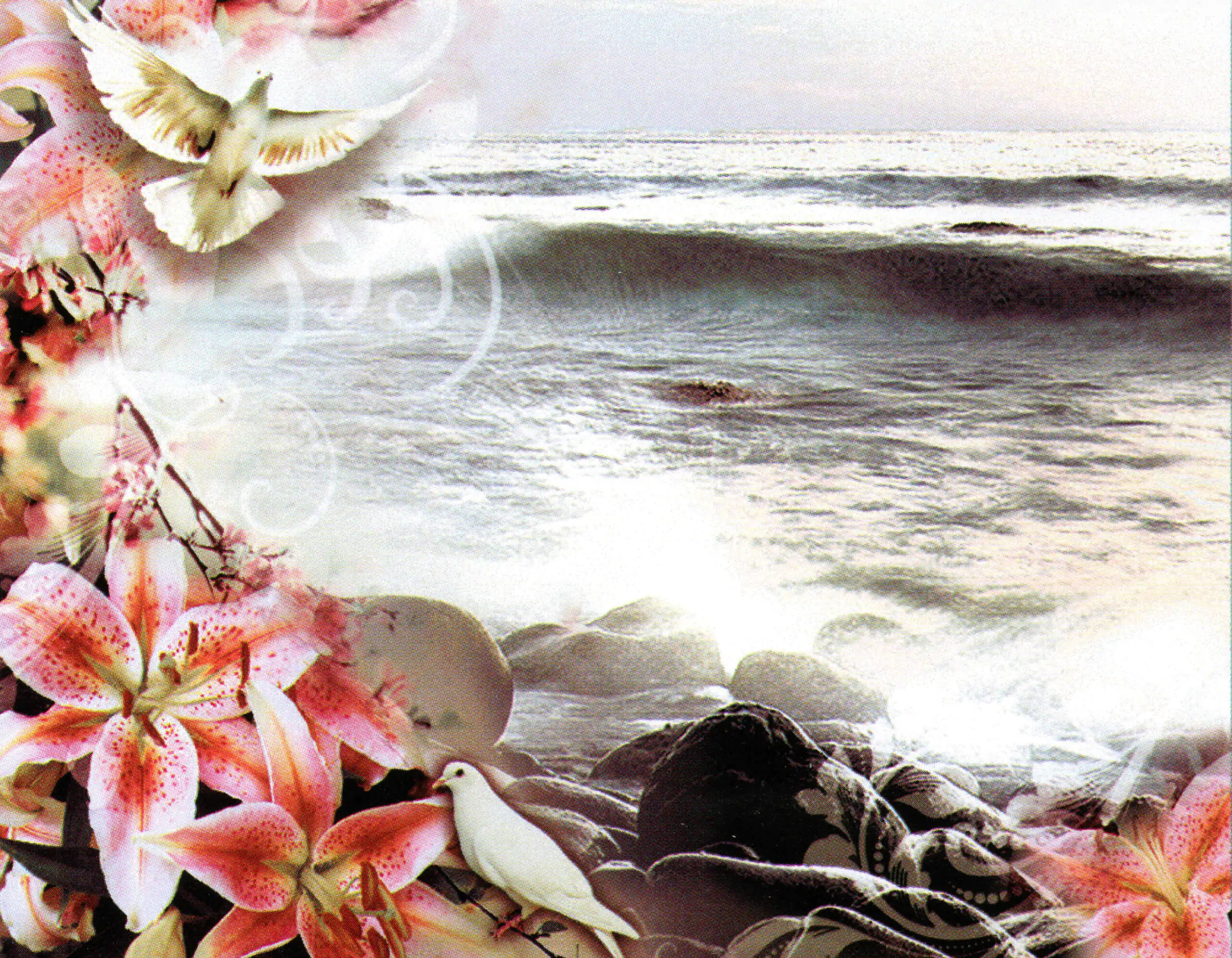 Porcelana Serie Natura 53