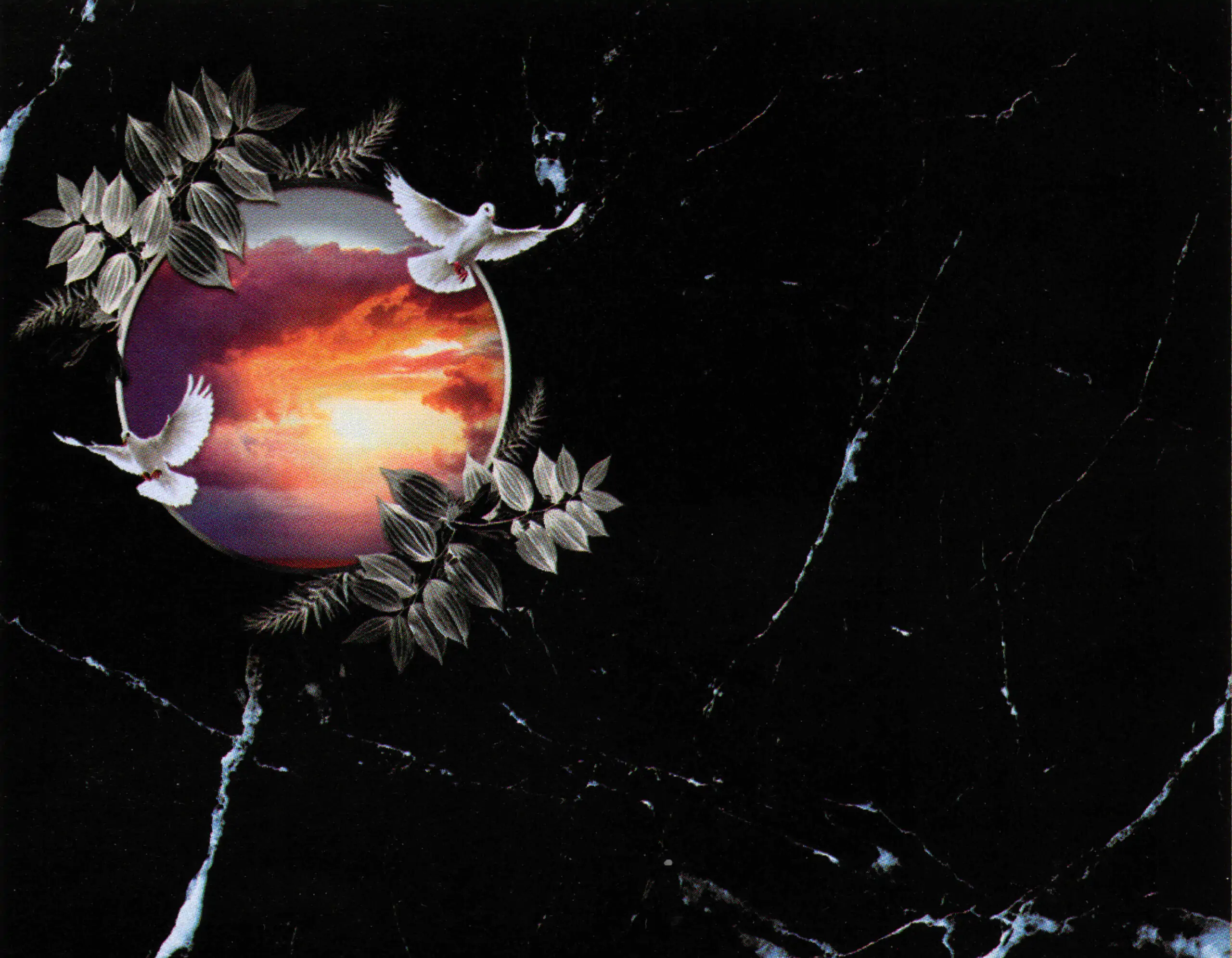 Porcelana Serie Natura 54