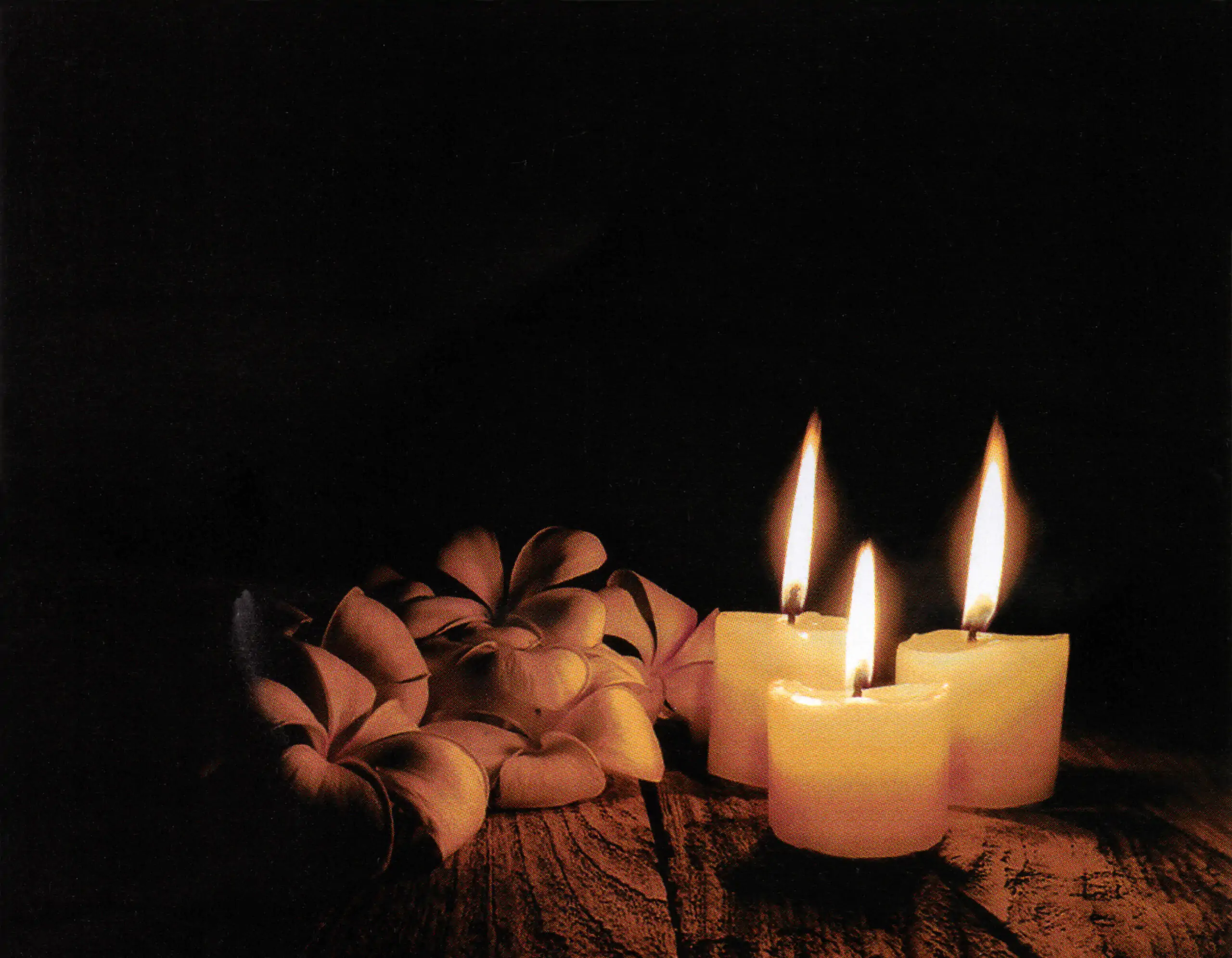 Porcelana Serie Natura 57