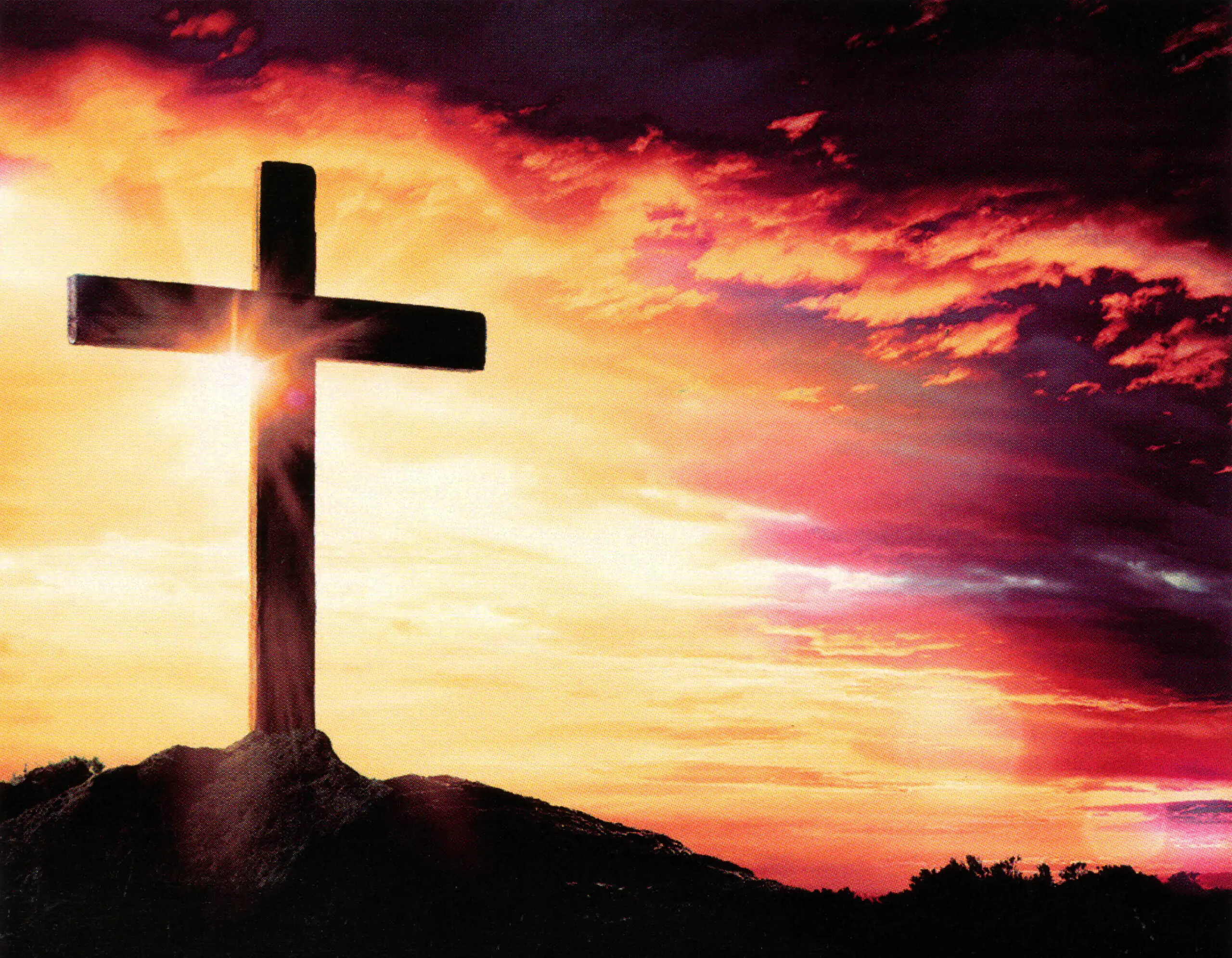 Porcelana Serie Natura 64