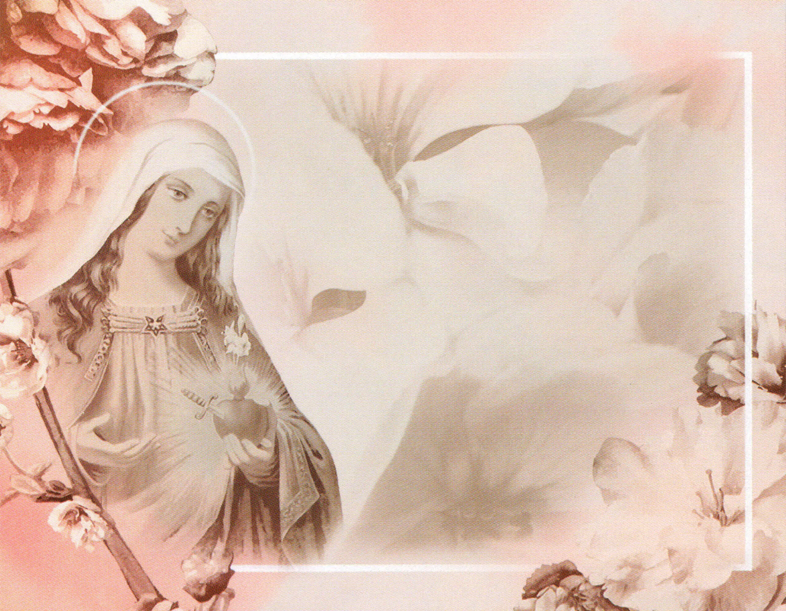 Porcelana Serie Natura 65