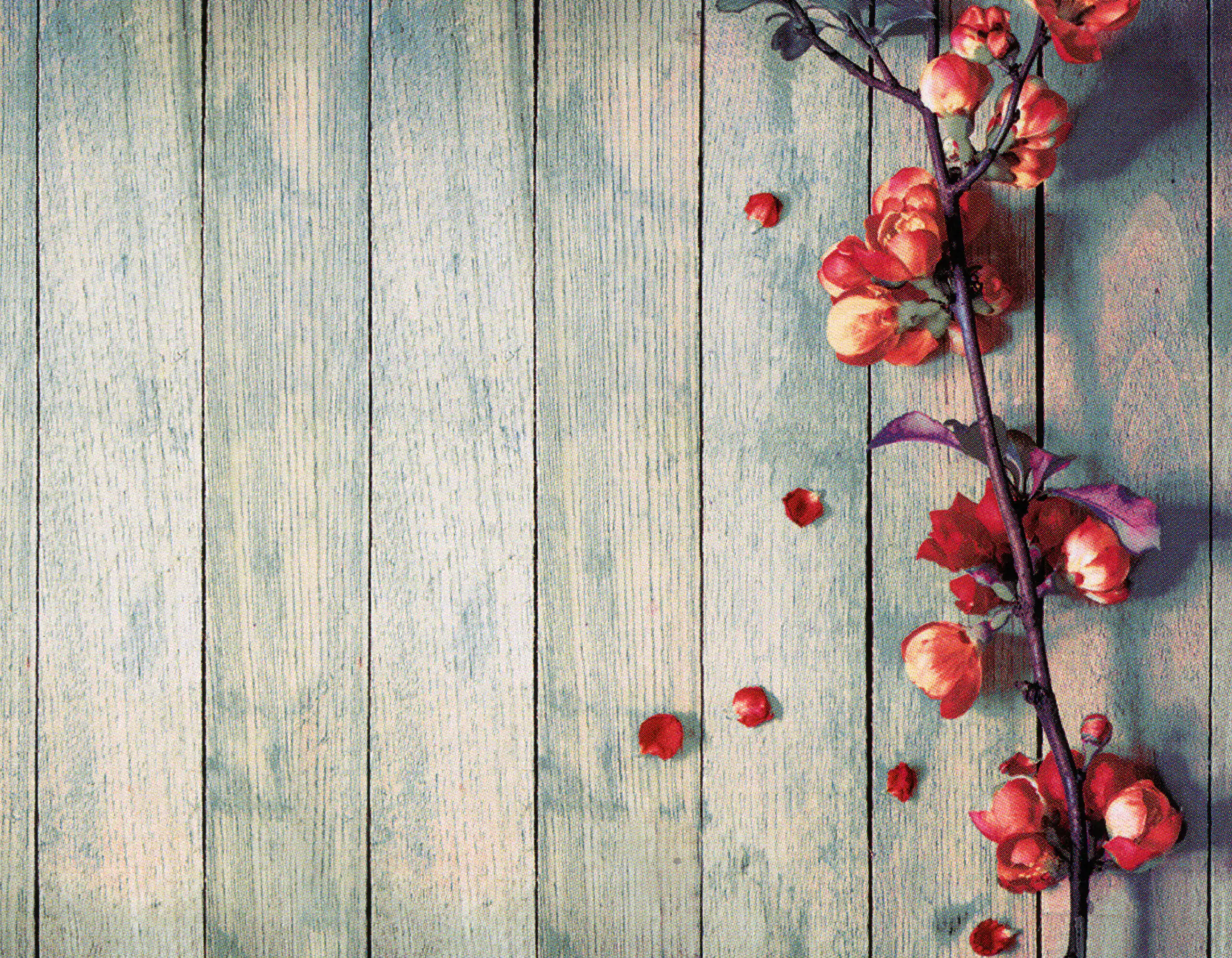 Porcelana Serie Natura 66