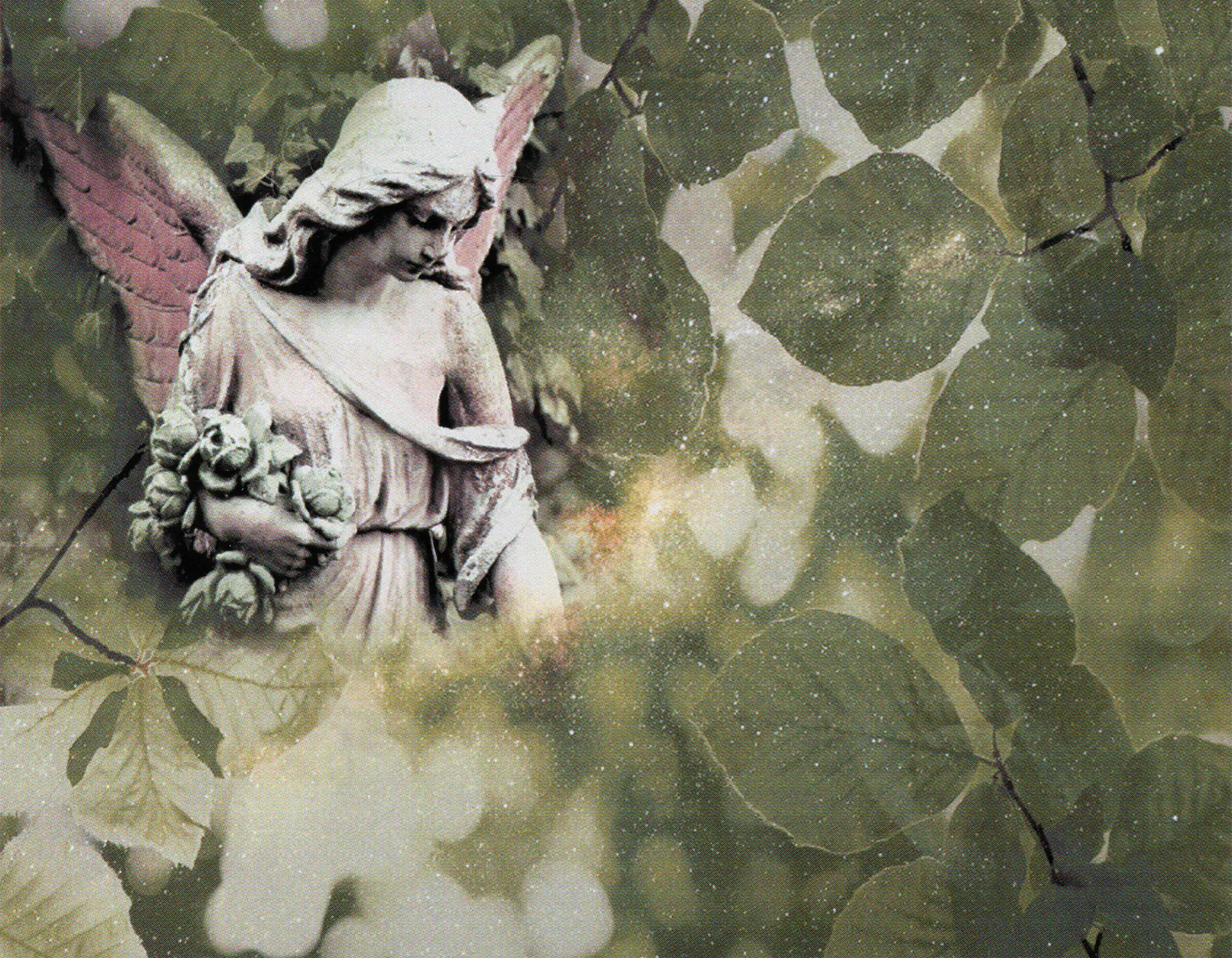 Porcelana Serie Natura 67