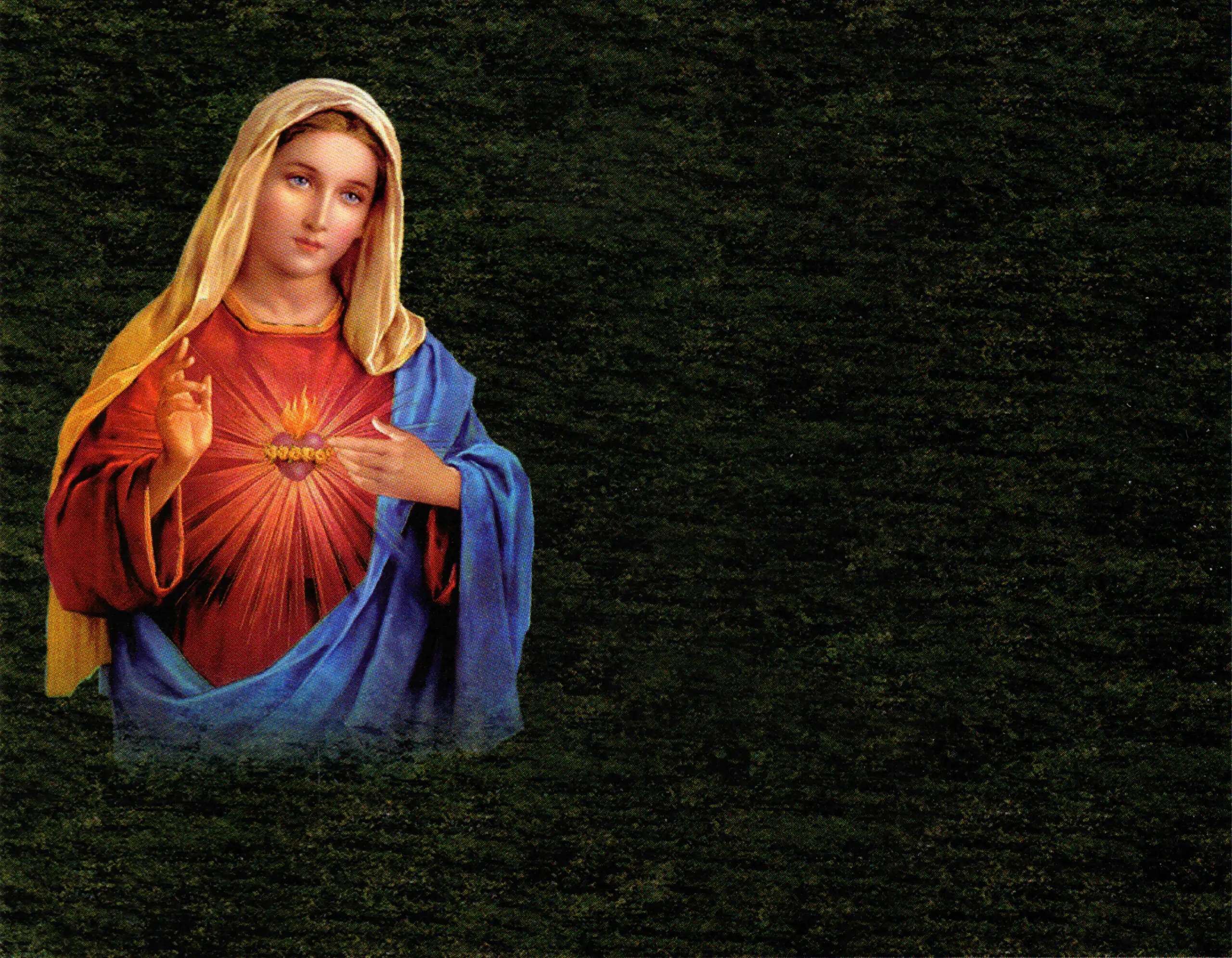 Porcelana Serie Natura 68