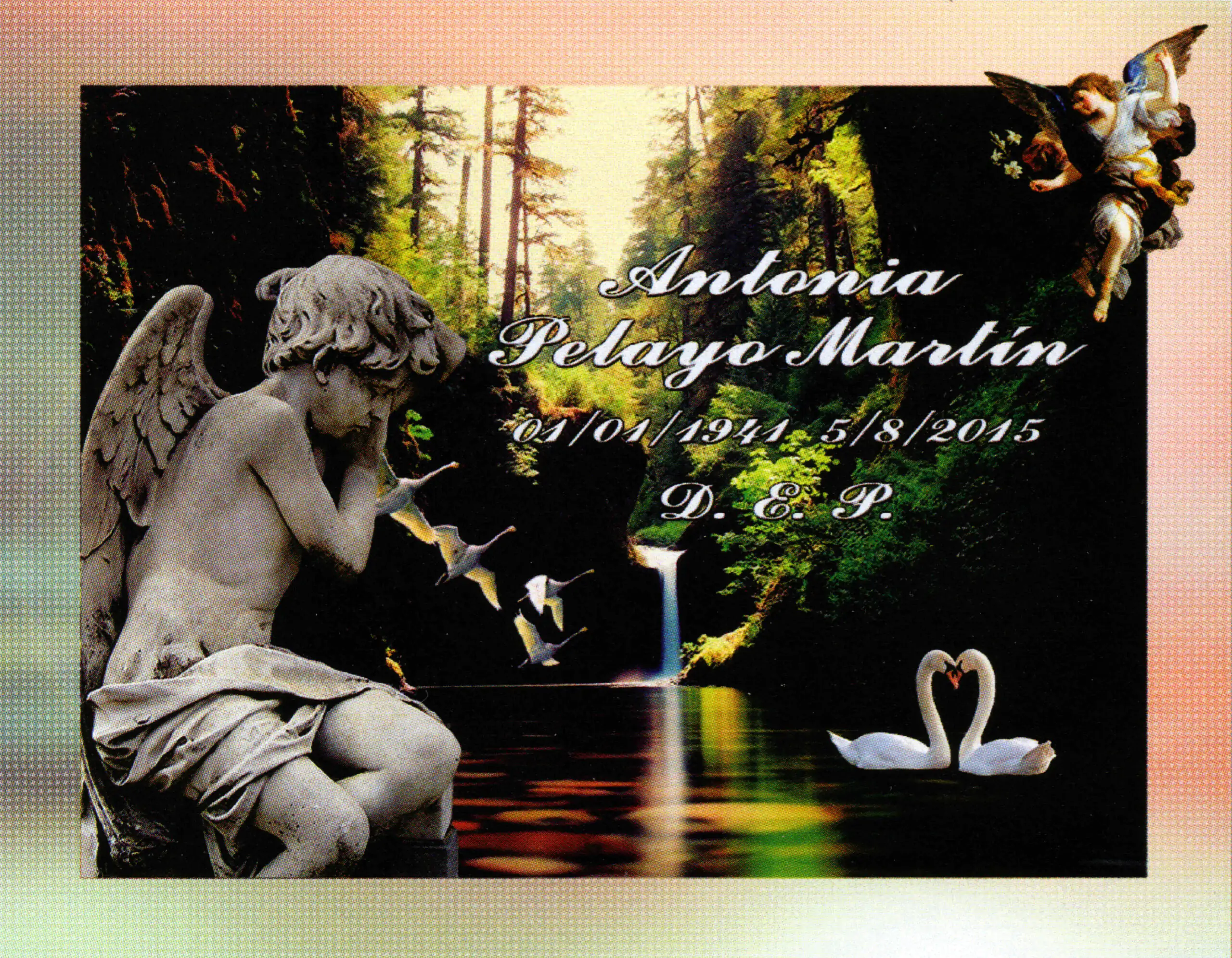 Porcelana Serie Premium 3