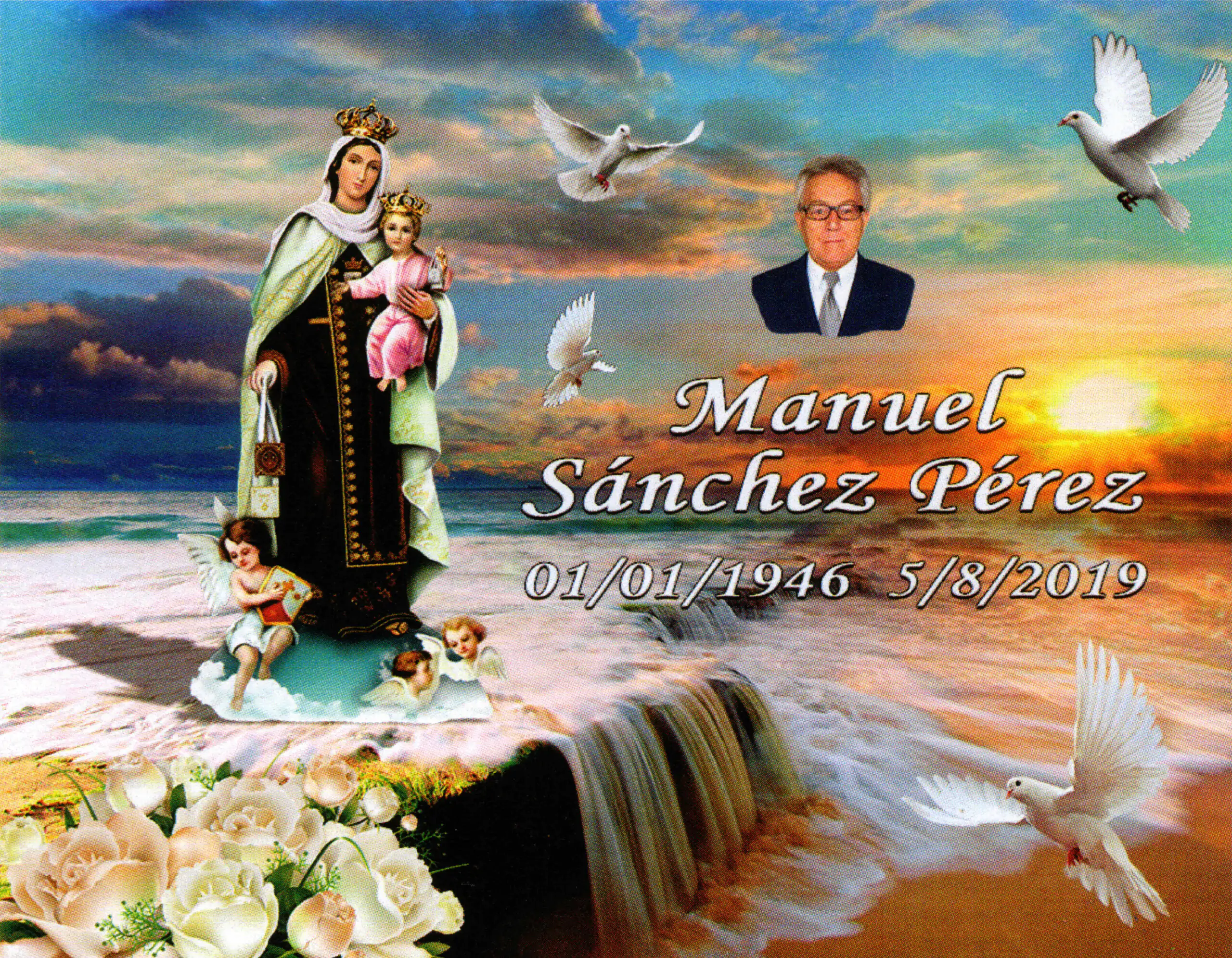 Porcelana Serie Premium 4