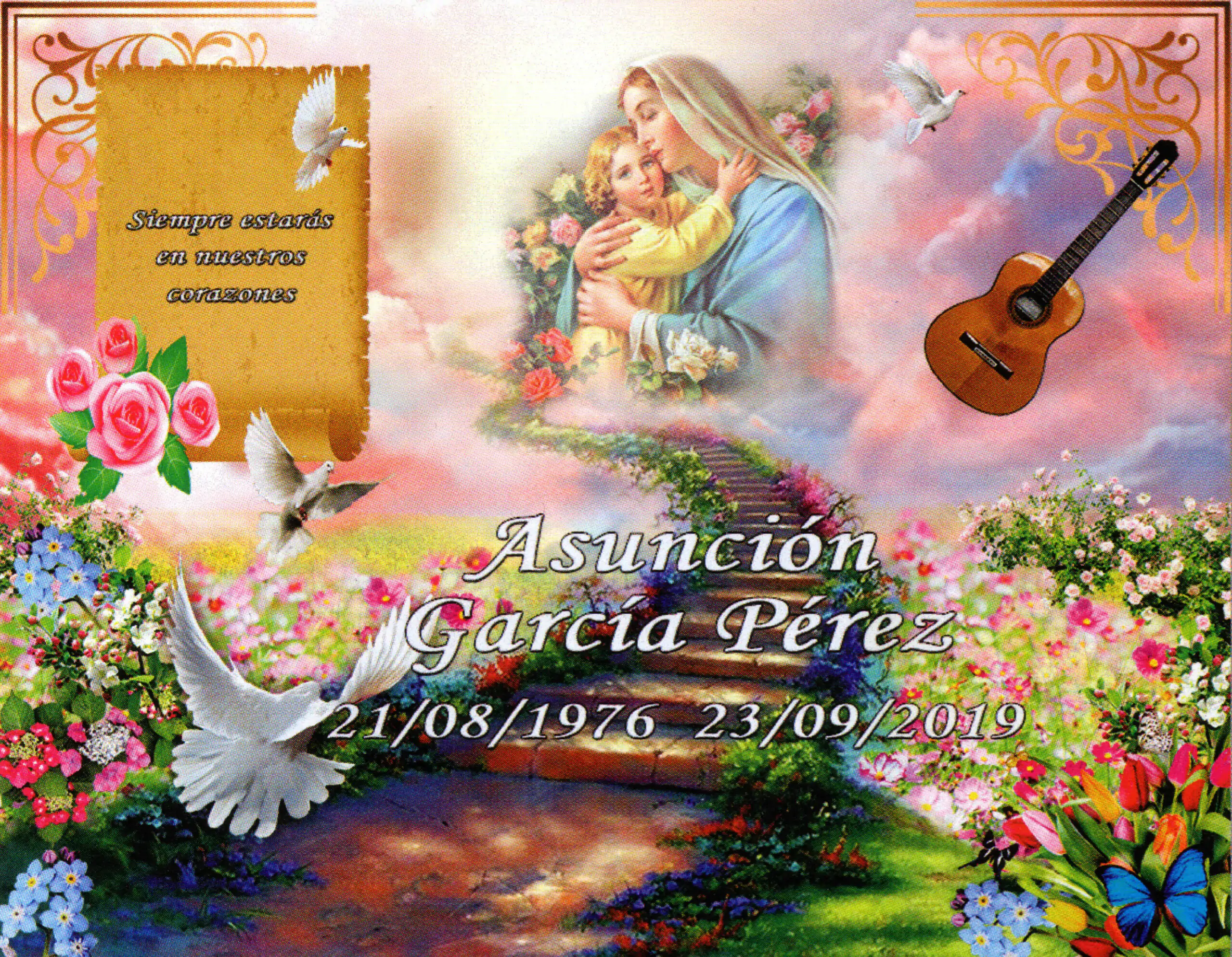 Porcelana Serie Premium 5