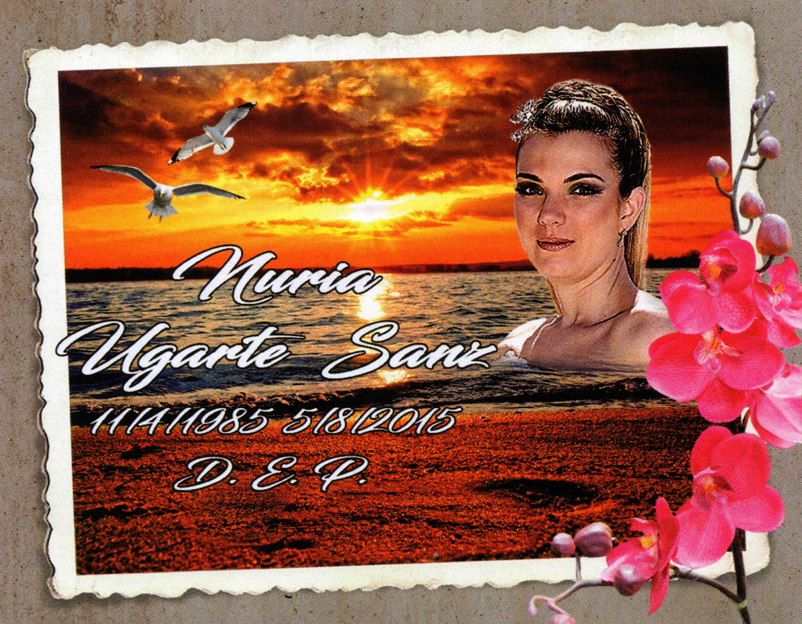 Porcelana Serie Premium 6